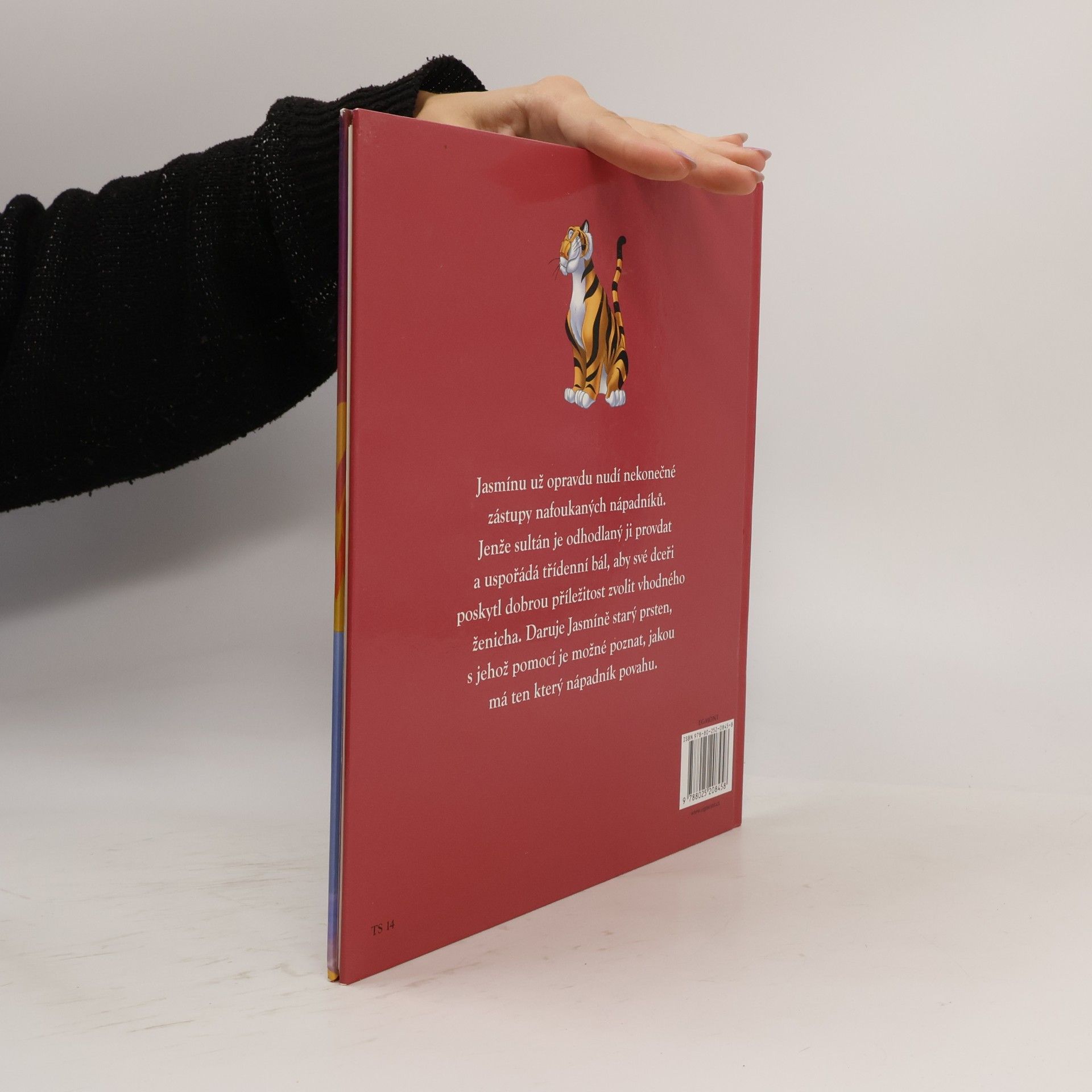 Autorenkollektiv Jasmína a třídenní bál