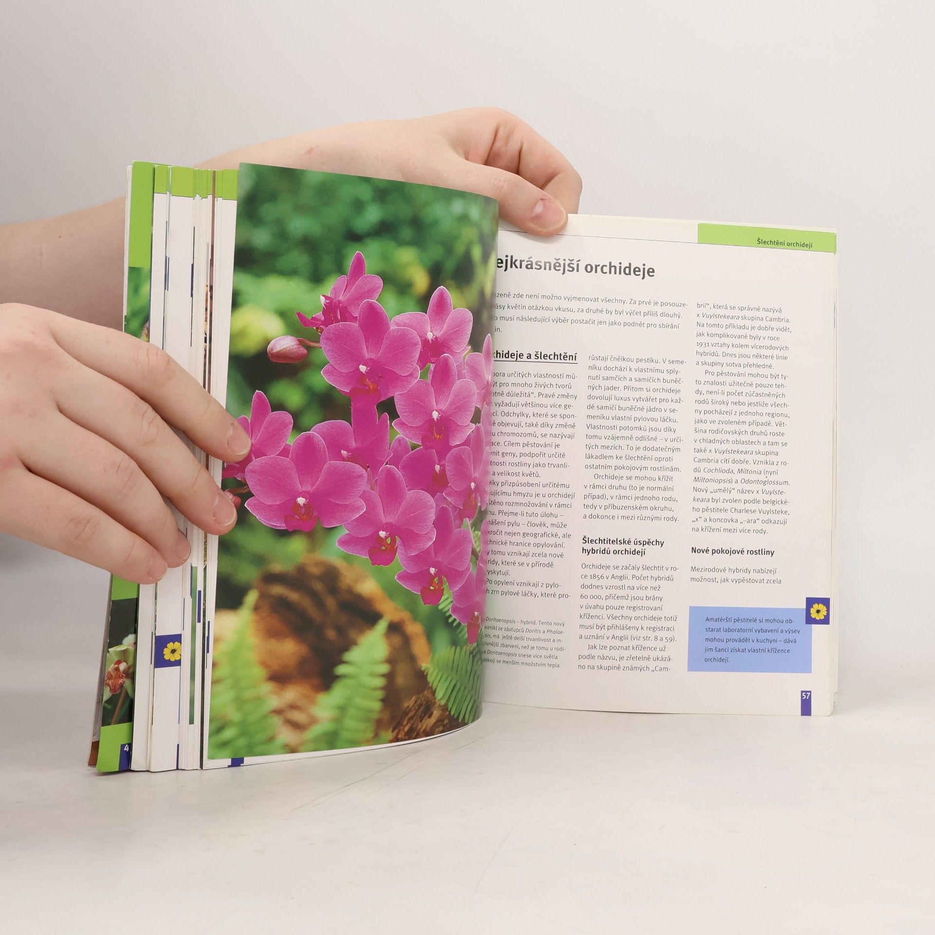 Jörn Pinske Orchideje. Nejkrásnější druhy a hybridy. Výběr, pěstování