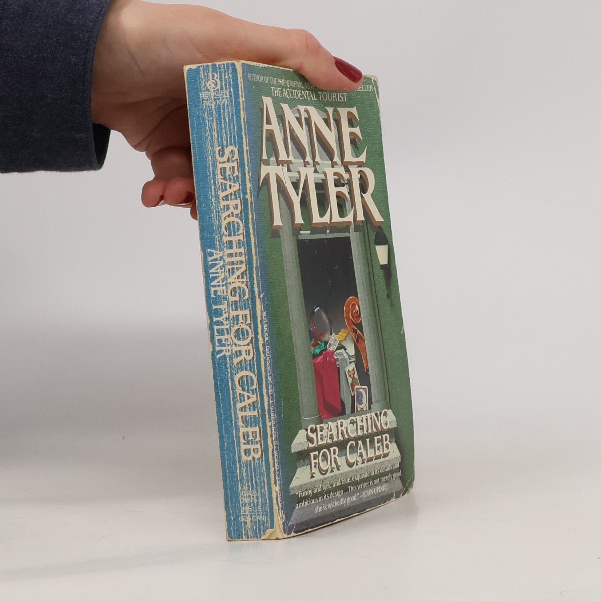 Anne Tyler Berkley Fiction: Searching For Caleb