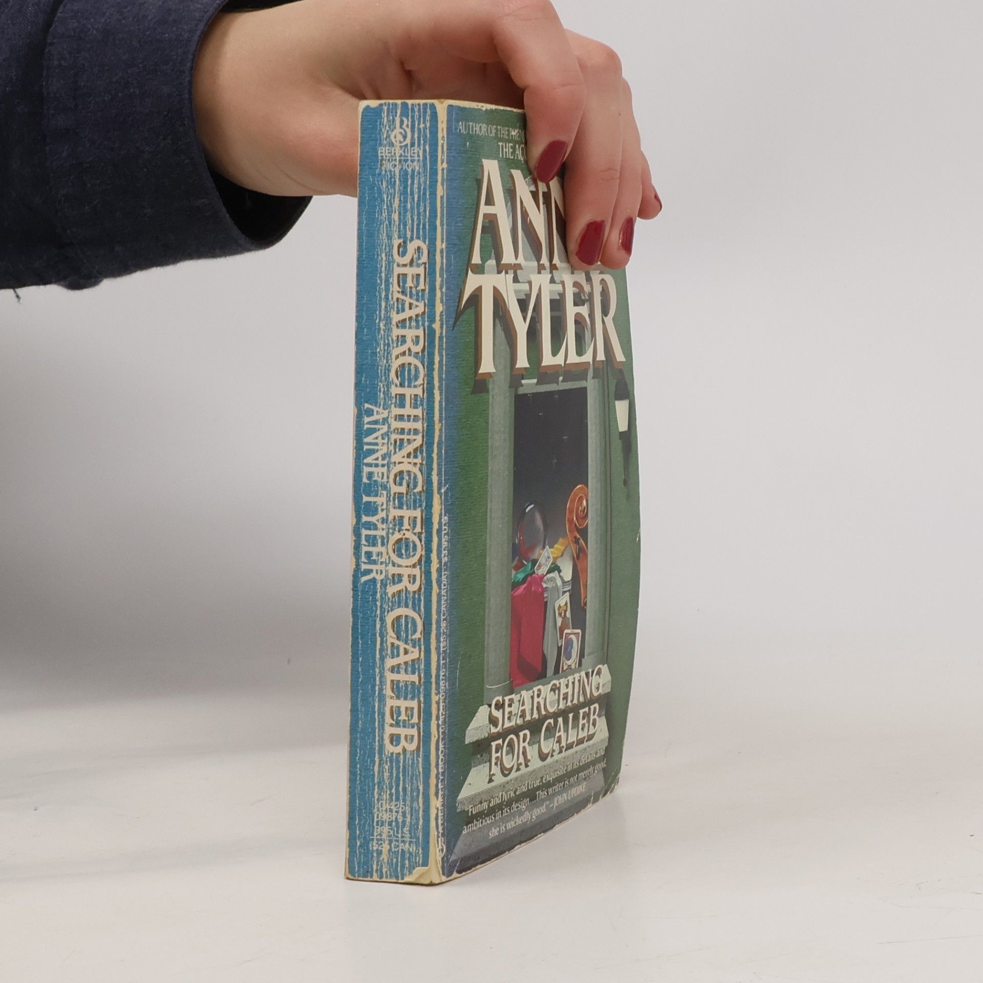Anne Tyler Berkley Fiction: Searching For Caleb
