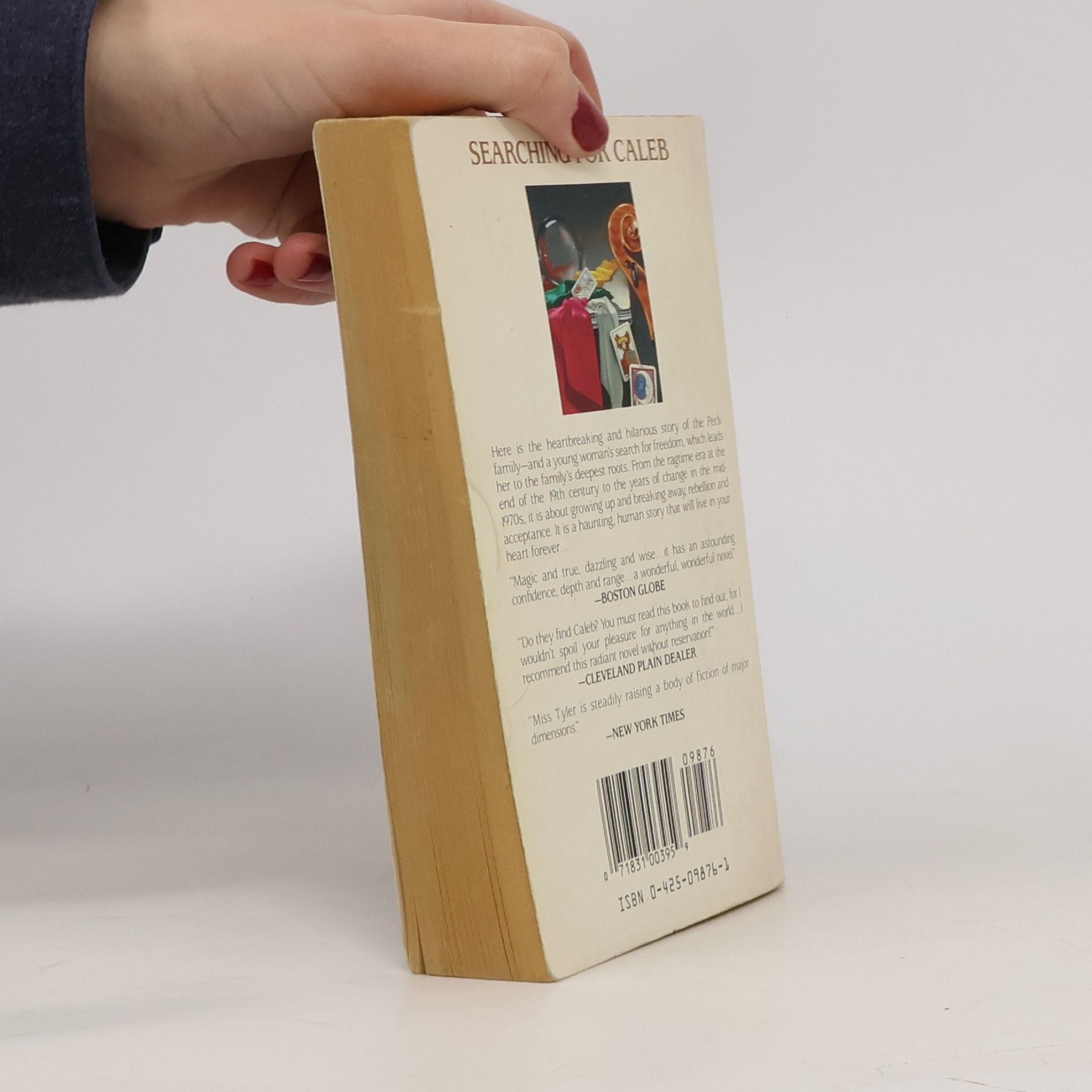 Anne Tyler Berkley Fiction: Searching For Caleb
