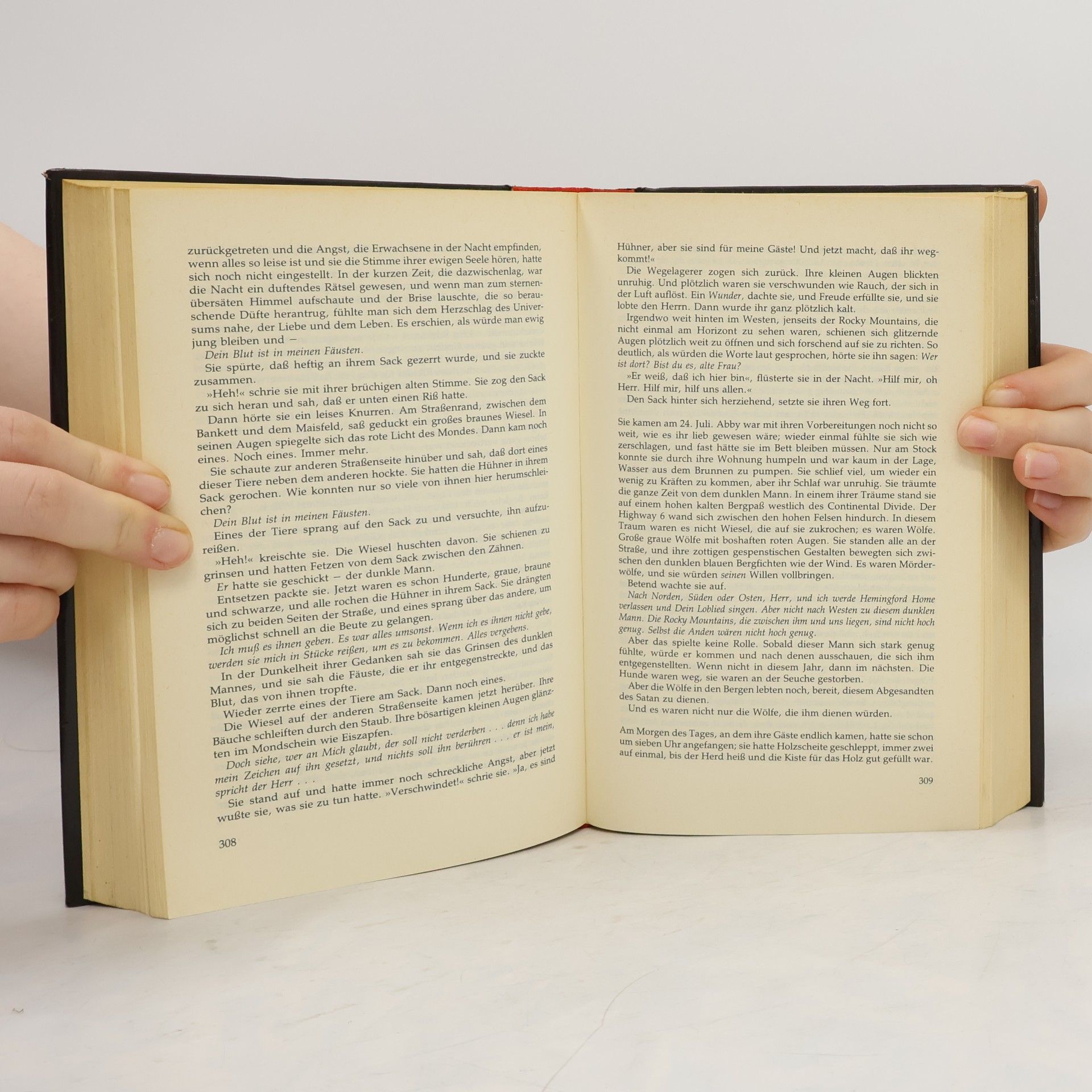 Stephen King Das letzte Gefecht
