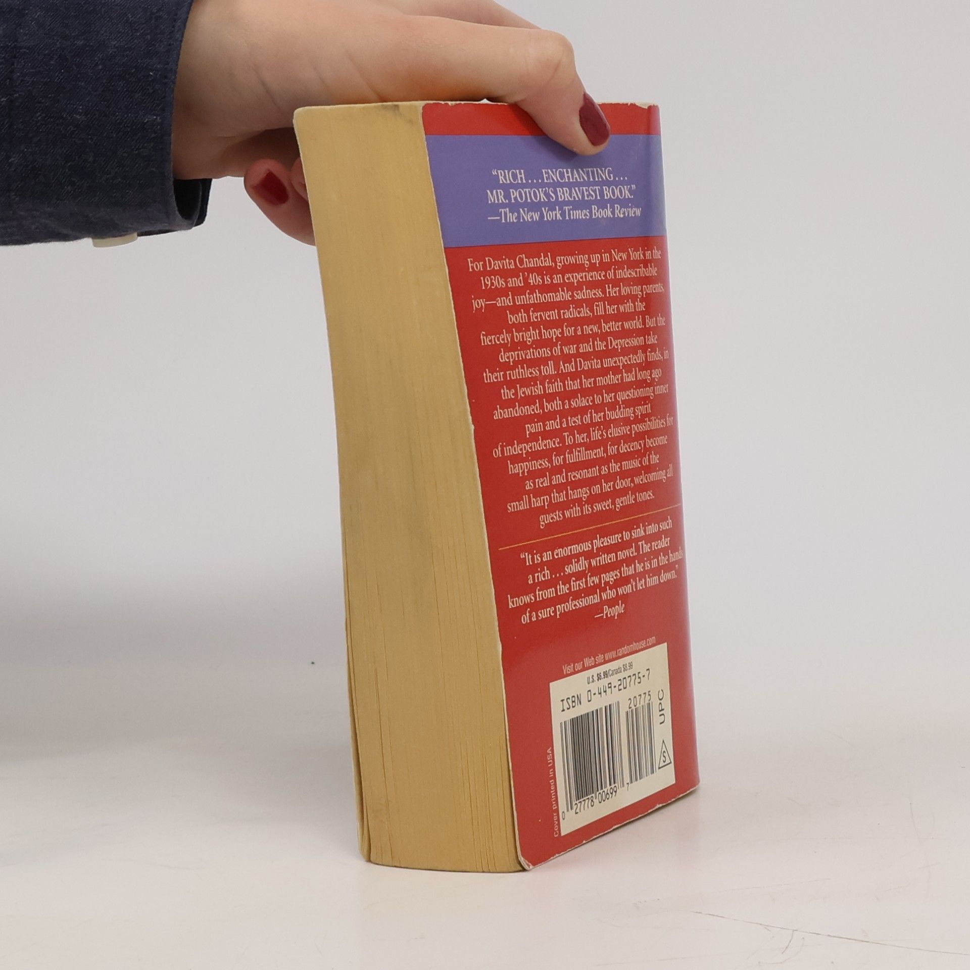 Chaim Potok Davita's Harp