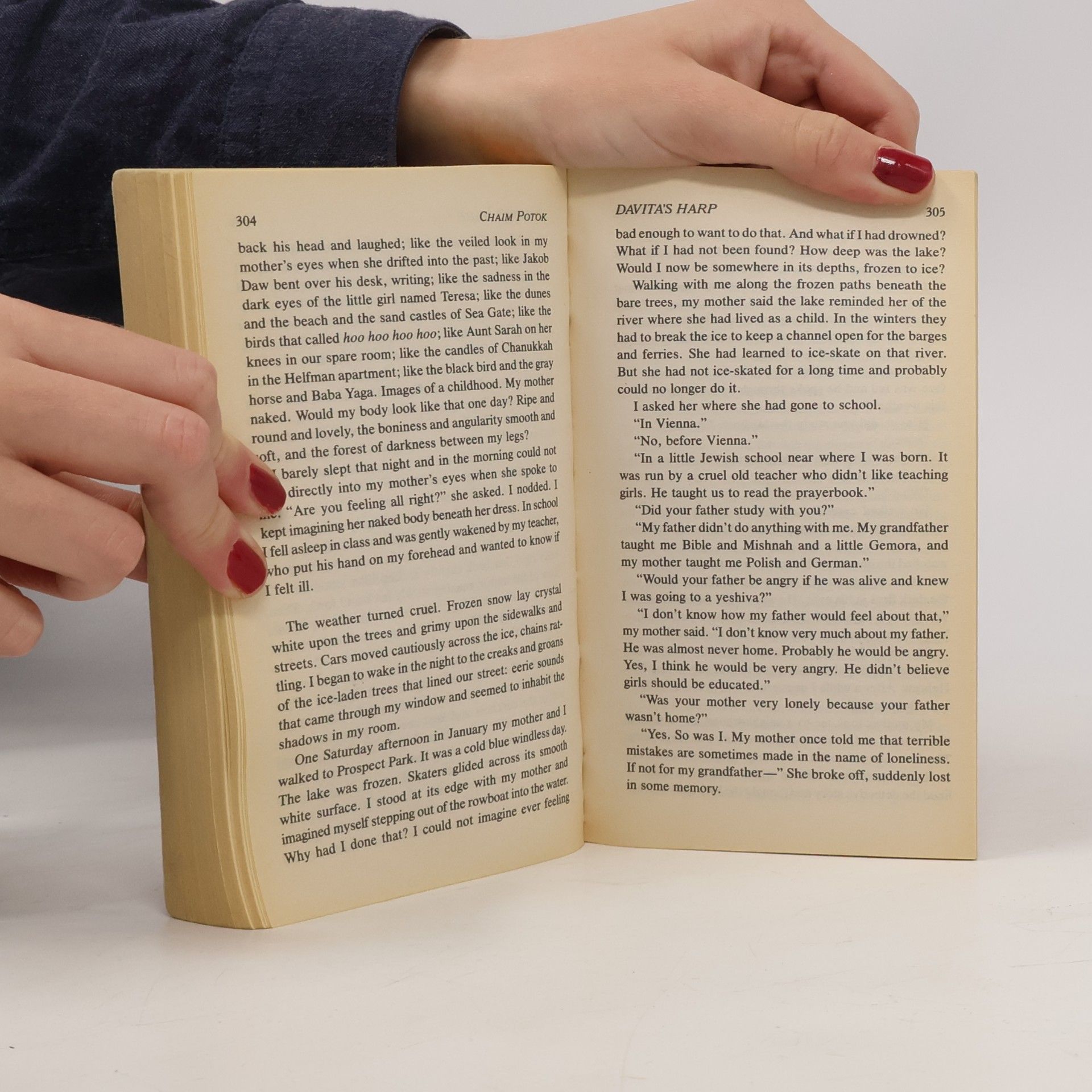 Chaim Potok Davita's Harp