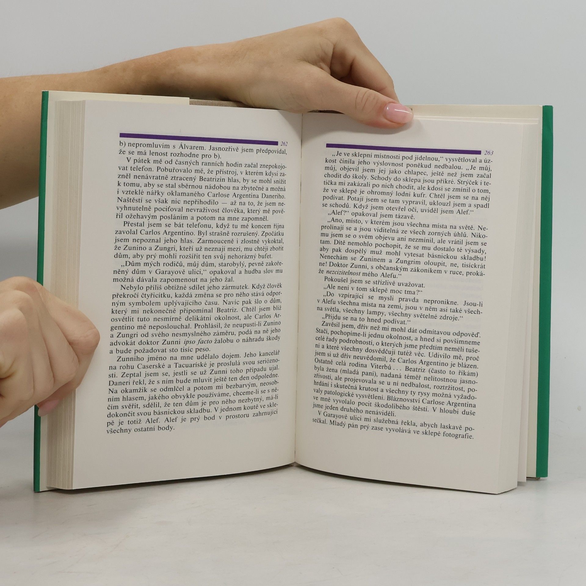 Jorge Luis Borges Zrcadlo a maska