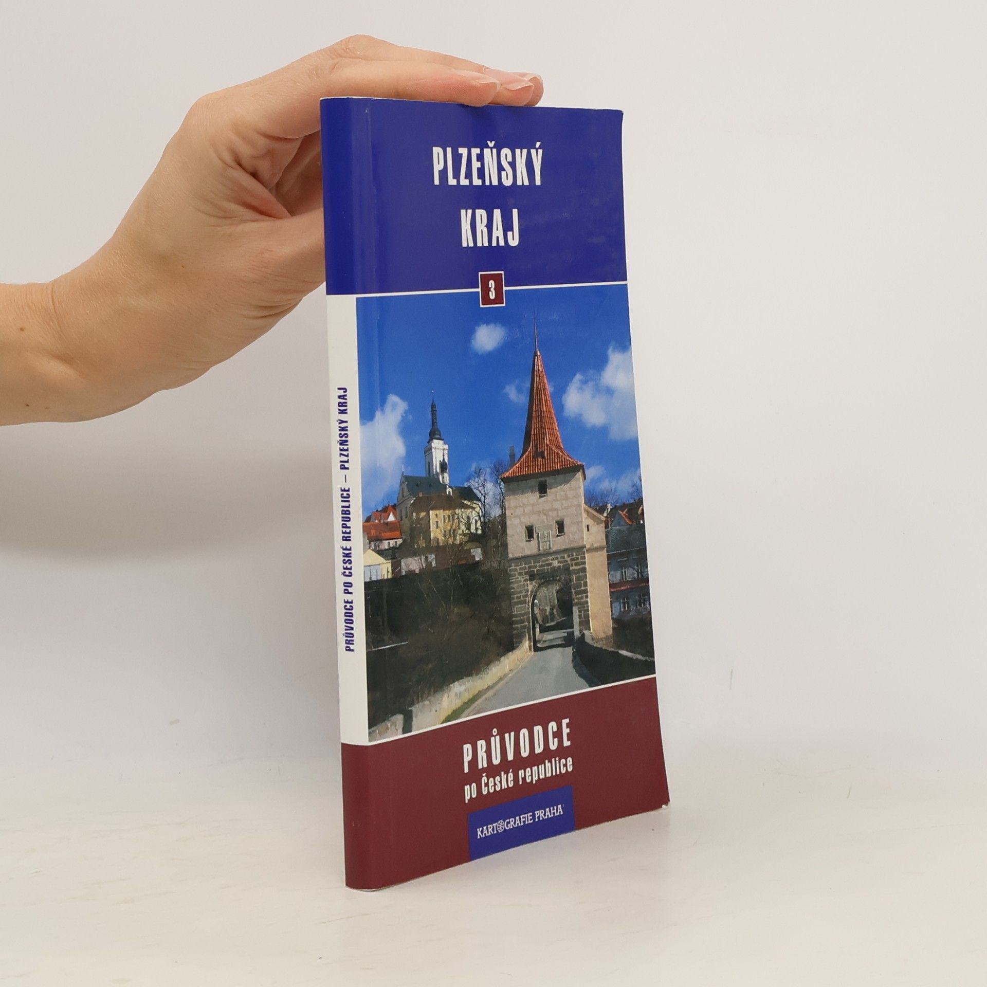 Zdeněk Procházka Plzeňský kraj