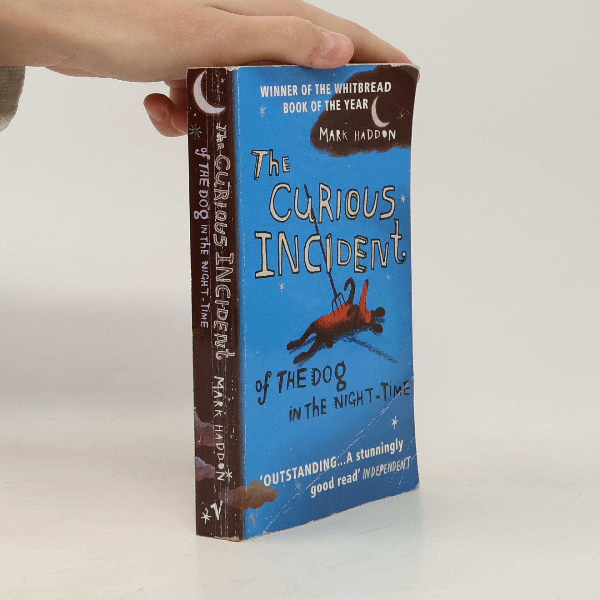 Mark Haddon The Curious Incident of The Dog in The Night-Time