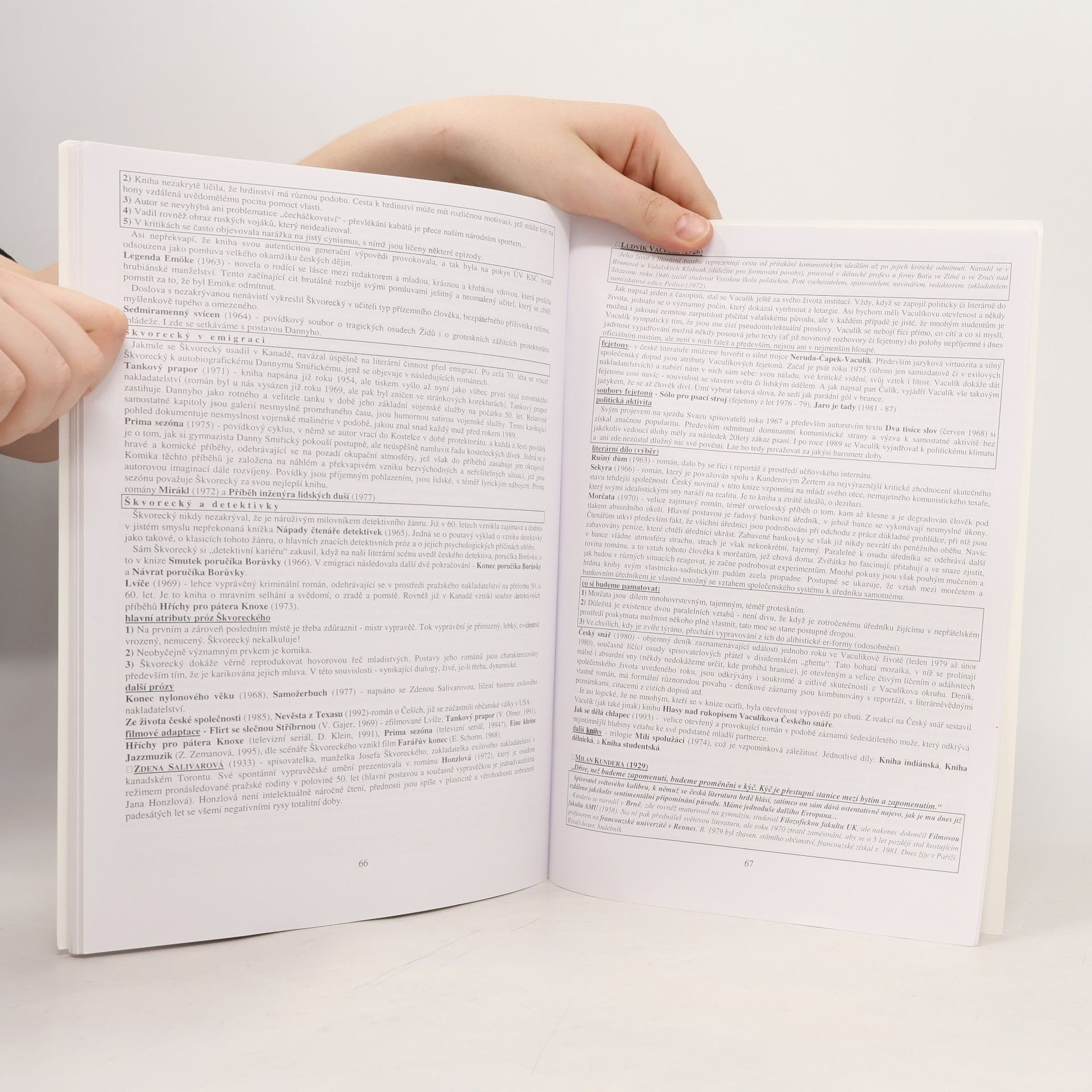 Vladimír Prokop Přehled české literatury 20. století