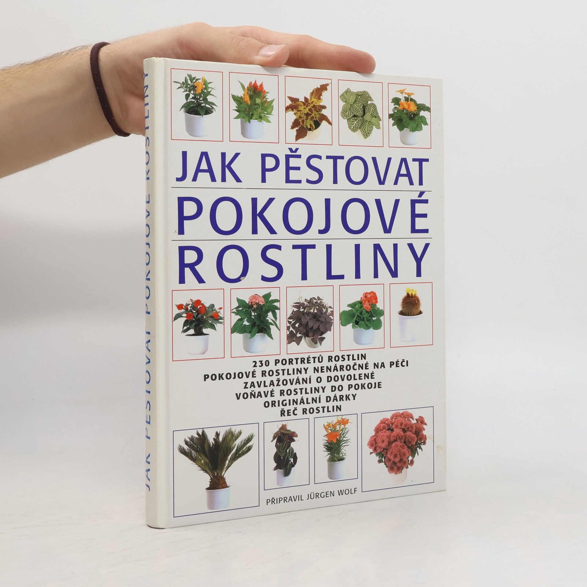 Jak pěstovat pokojové rostliny
