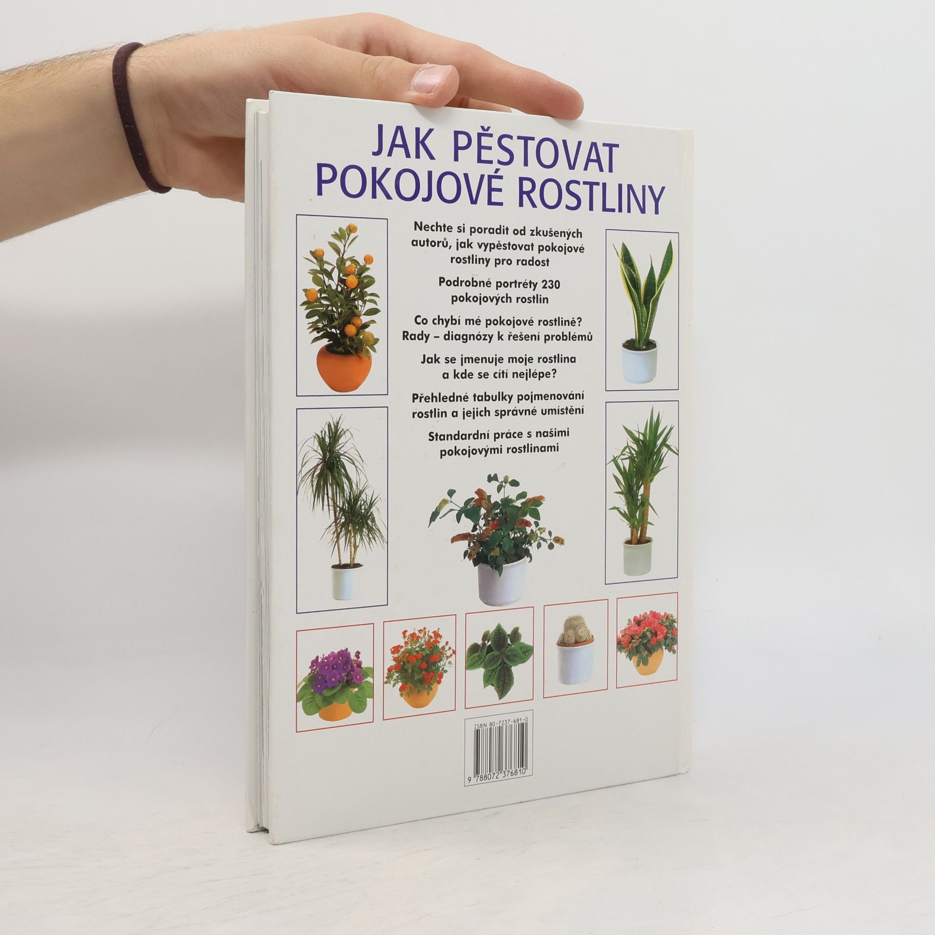 Jürgen Wolff Jak pěstovat pokojové rostliny