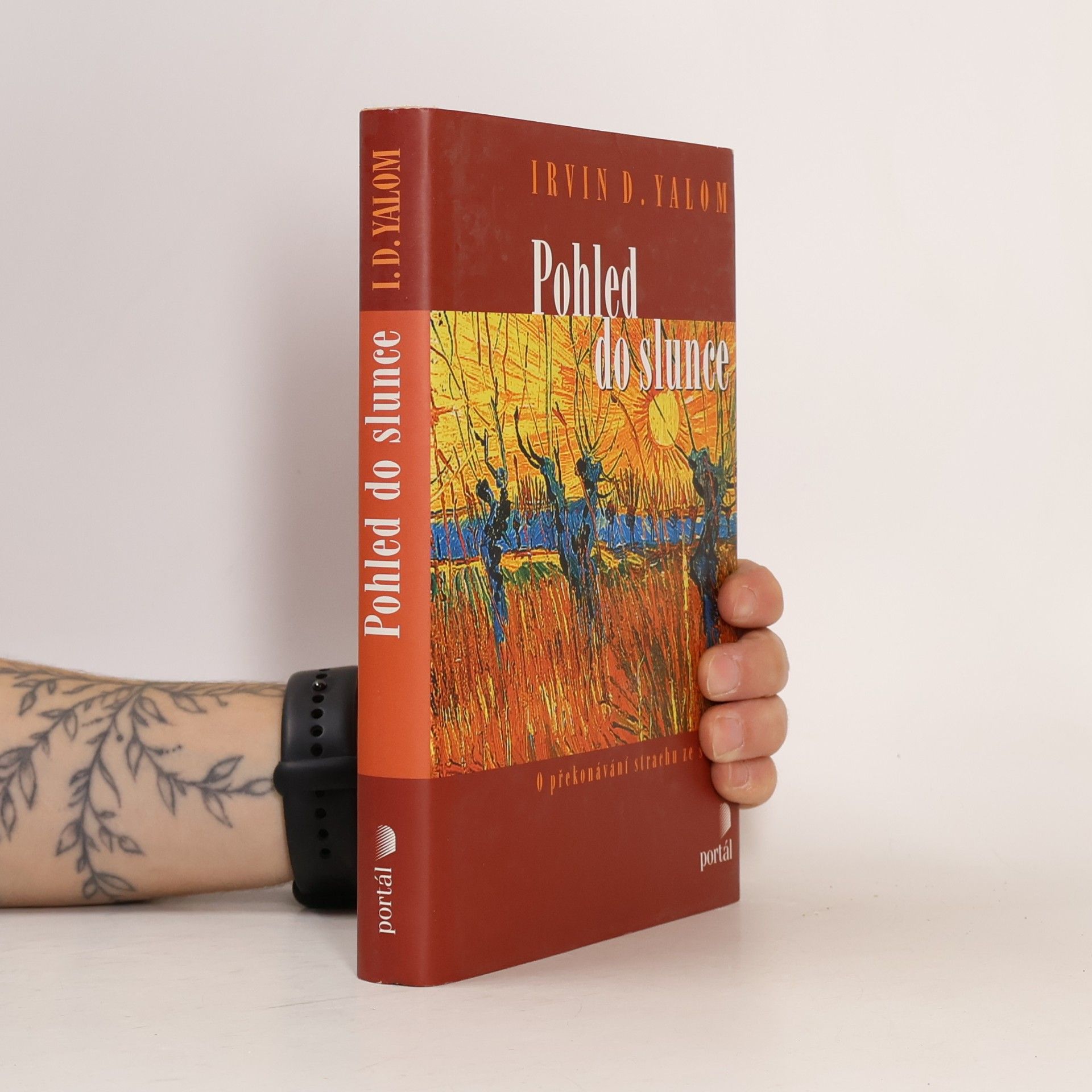Irvin Yalom Pohled do slunce