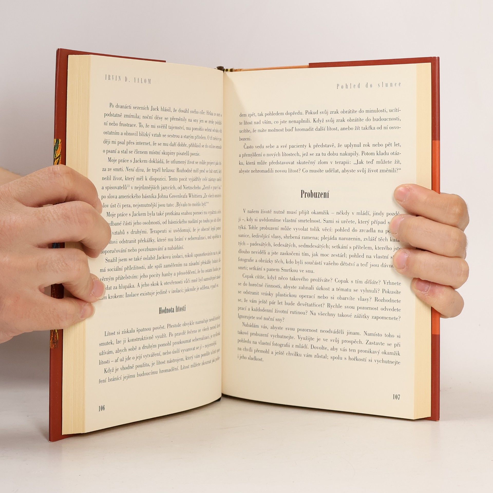 Irvin Yalom Pohled do slunce