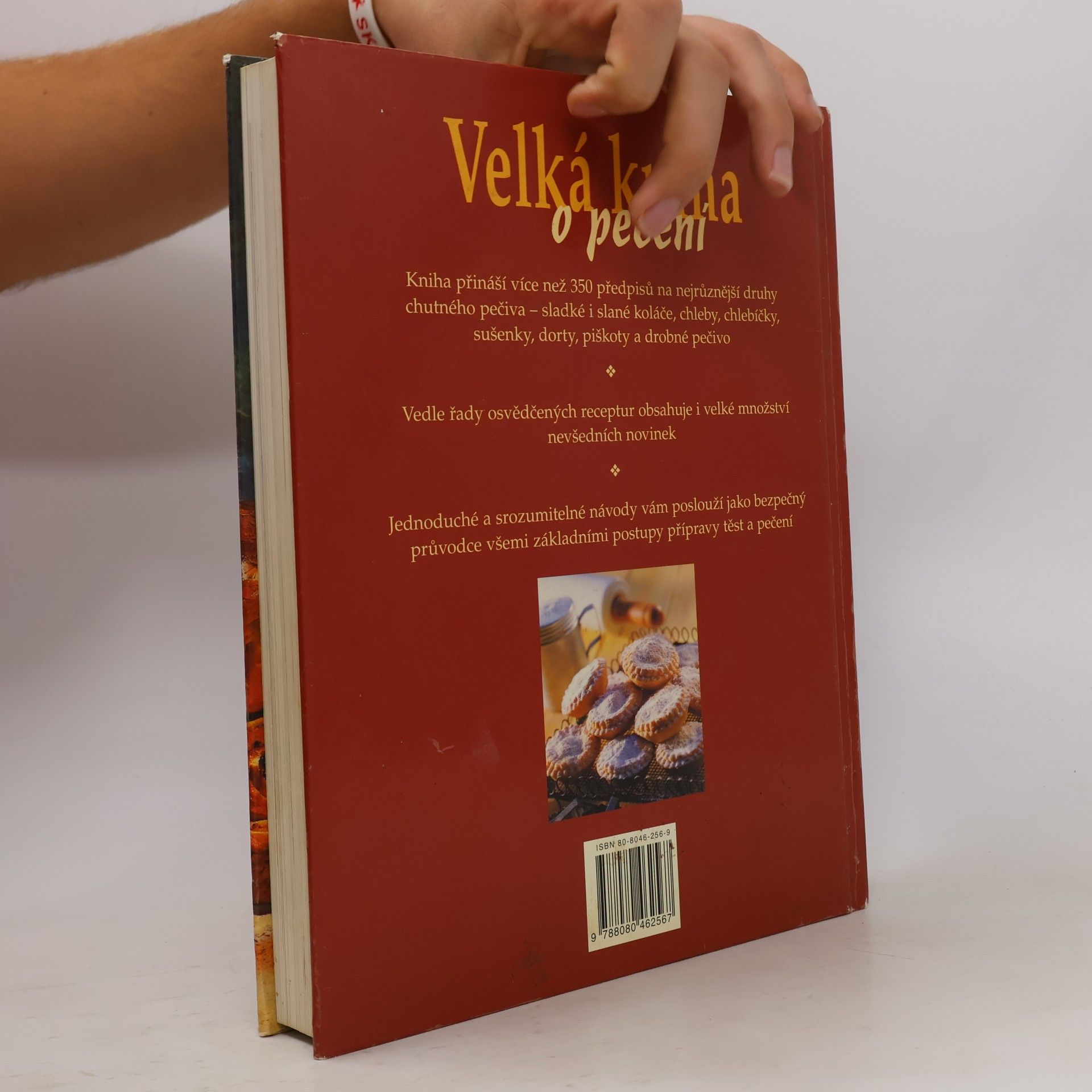 Deborah Gray Velká kniha o pečení