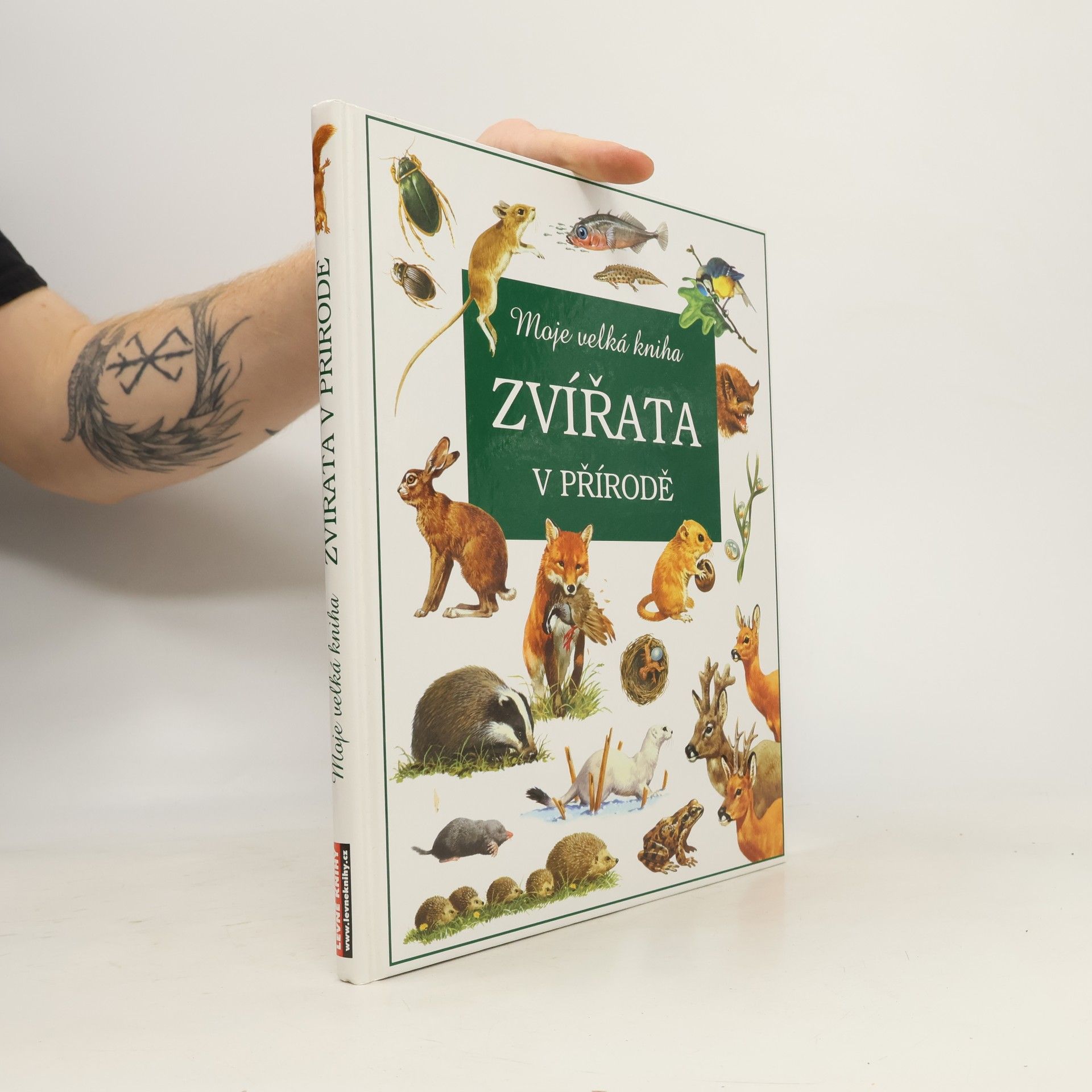 kolektiv Zvířata v přírodě