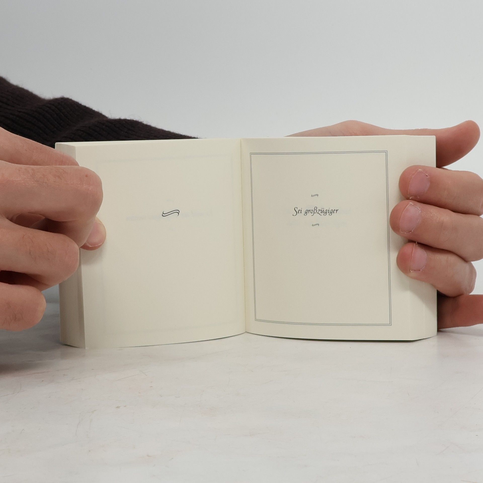 Carol Bolt Das kleine Buch der Antworten