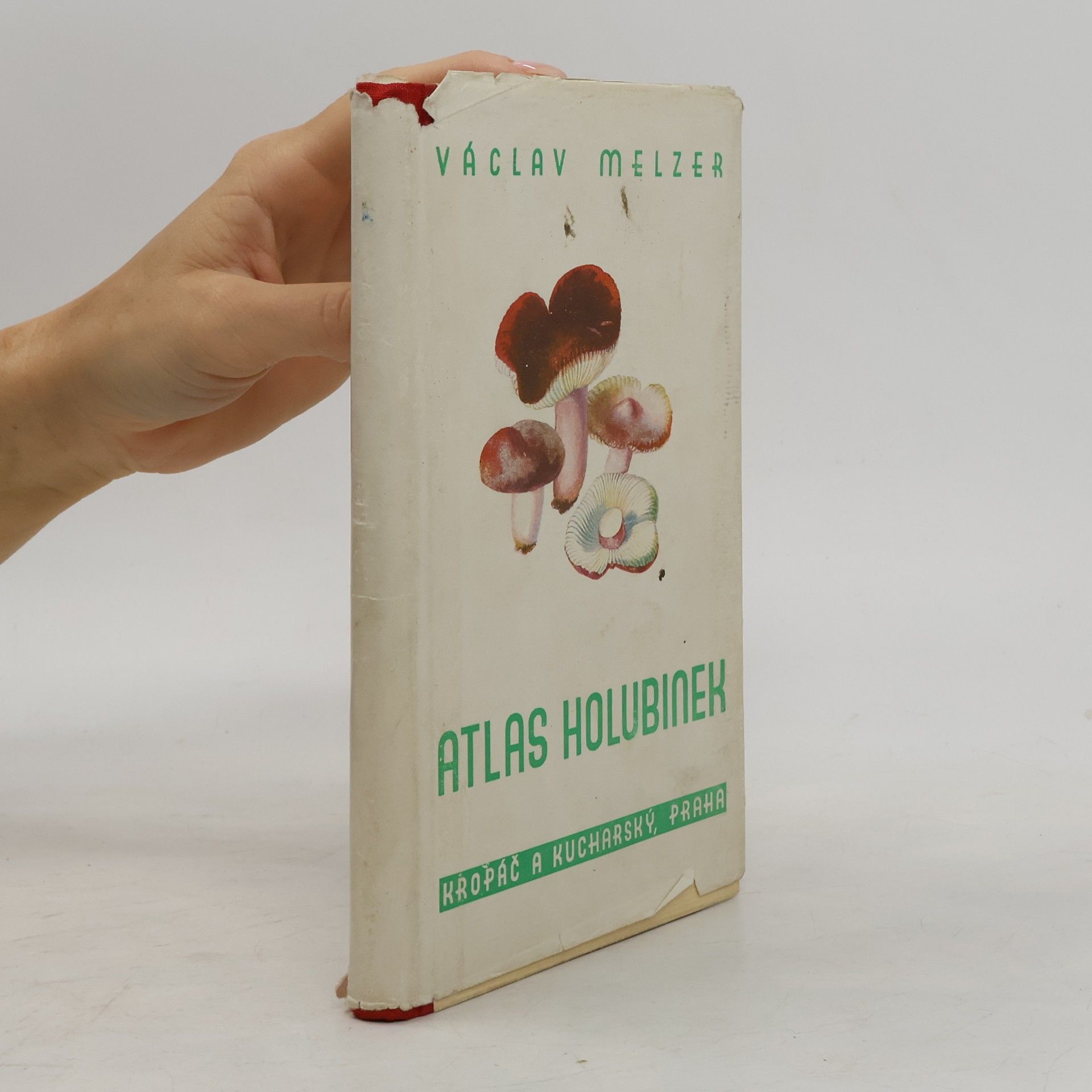 Václav Melzer Atlas holubinek