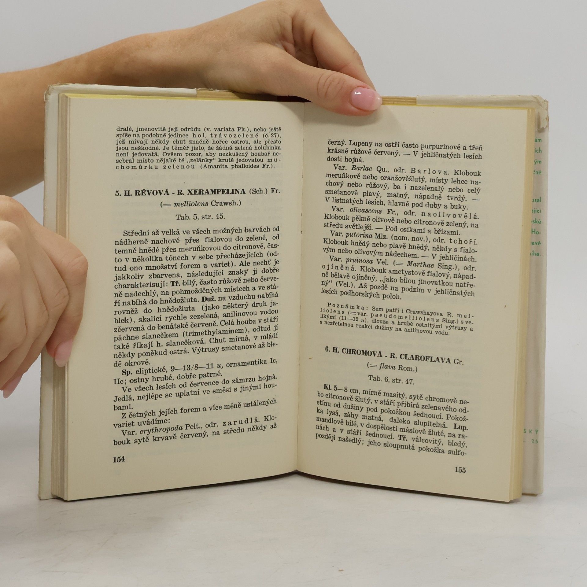 Václav Melzer Atlas holubinek