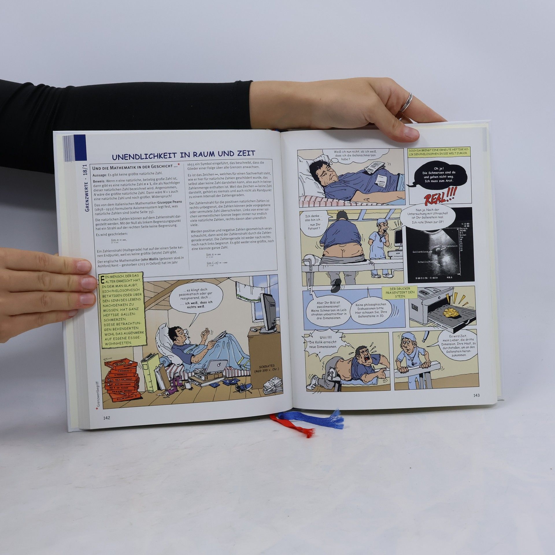 Gert Höfner Das verrückte Mathe-Comic-Buch