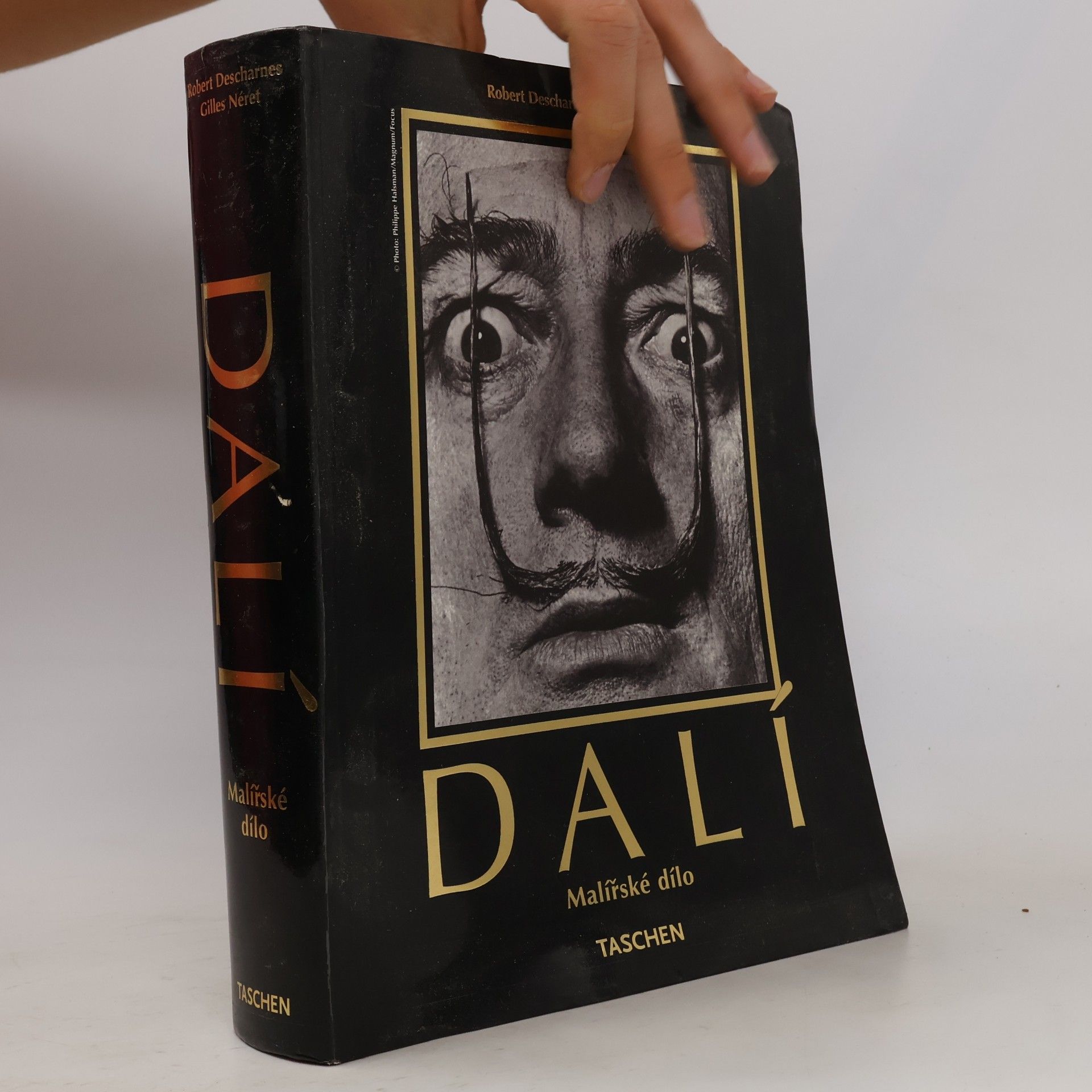 Salvador Dalí 1904-1989 : malířské dílo 1904-1946