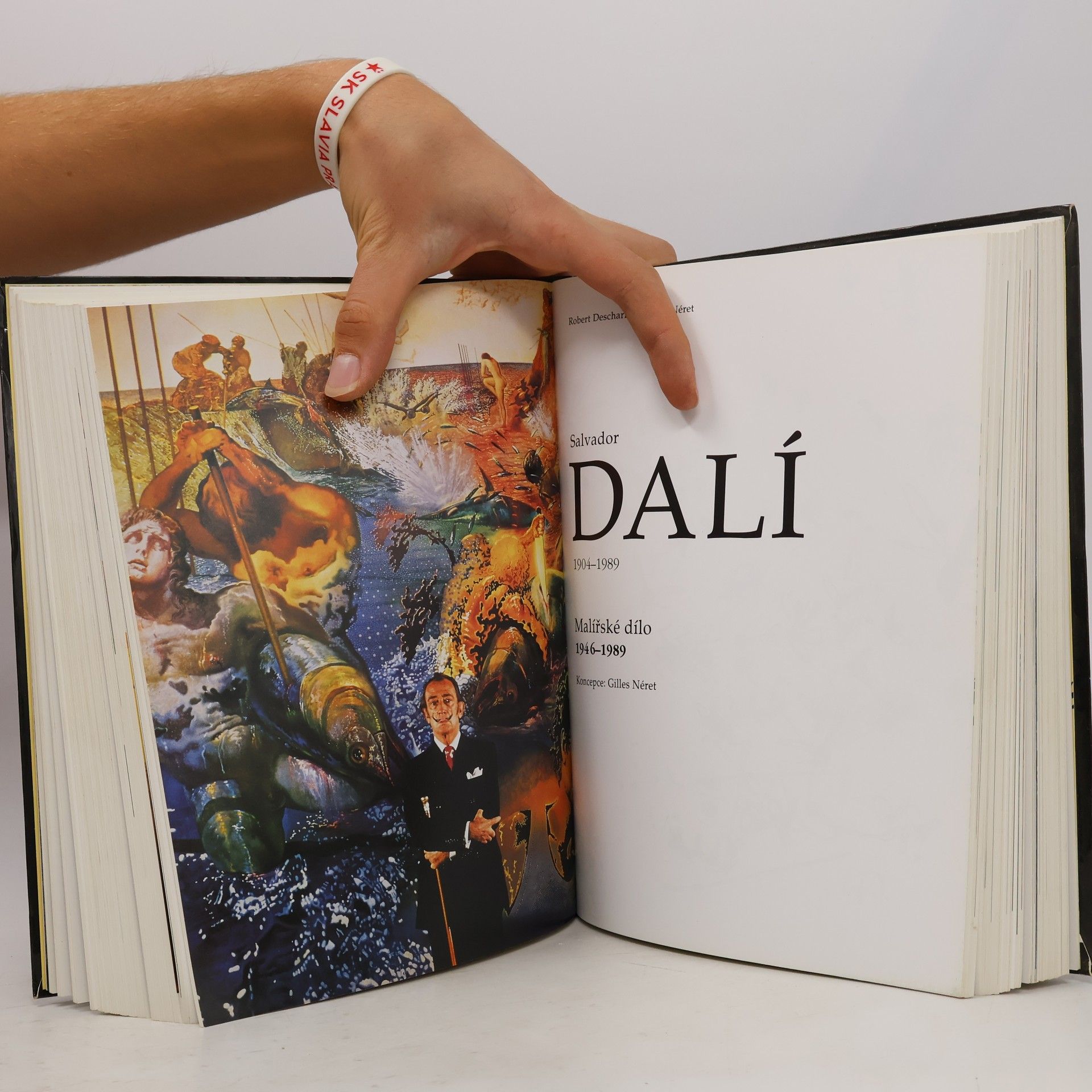 Gilles Néret Salvador Dalí 1904-1989 : malířské dílo 1904-1946