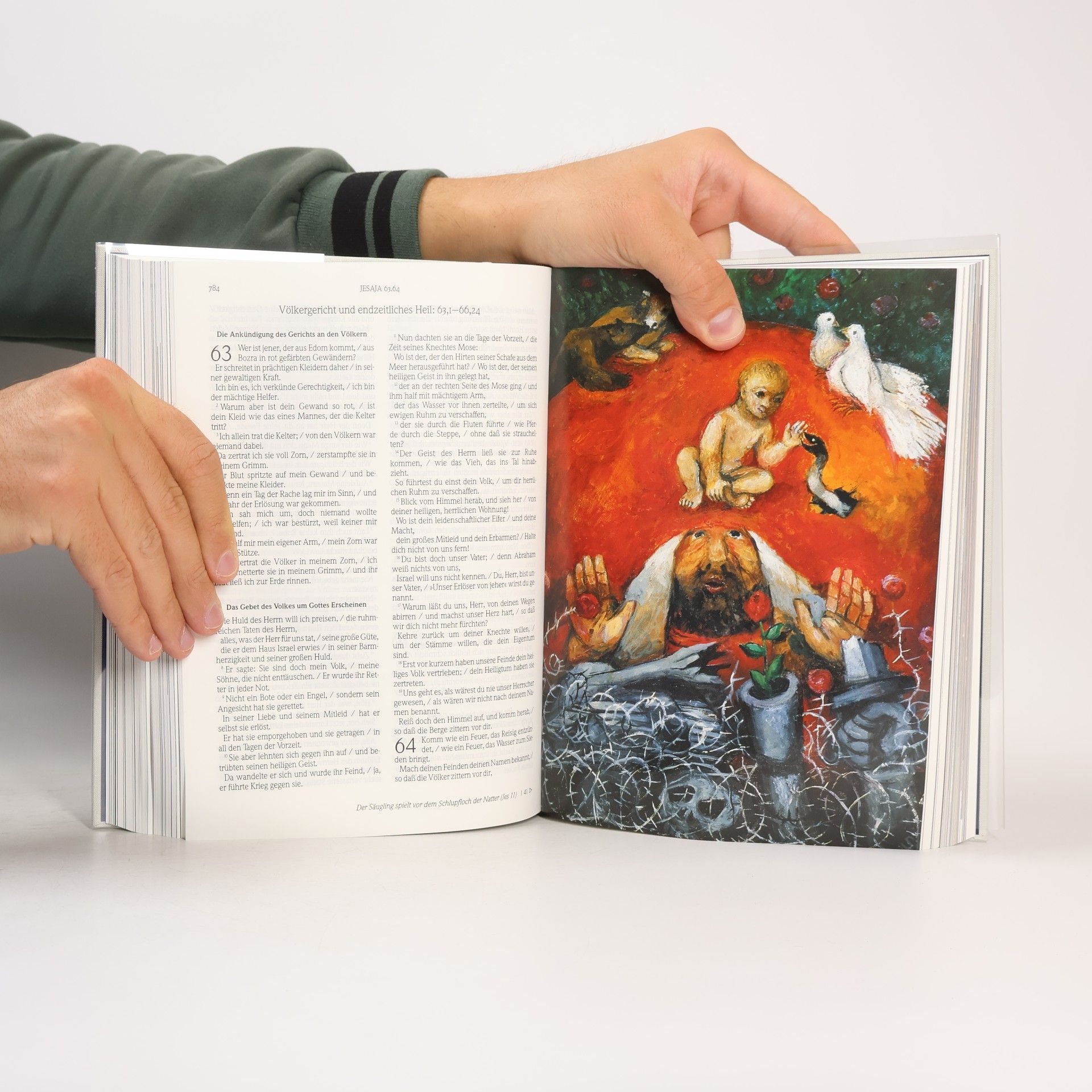 Sieger Köder Die Bibel