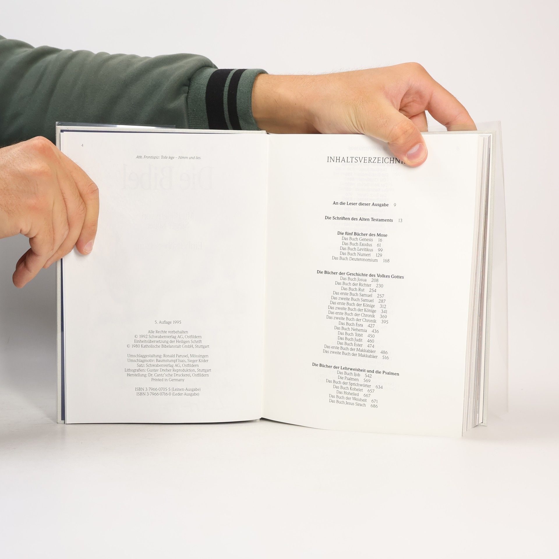 Sieger Köder Die Bibel