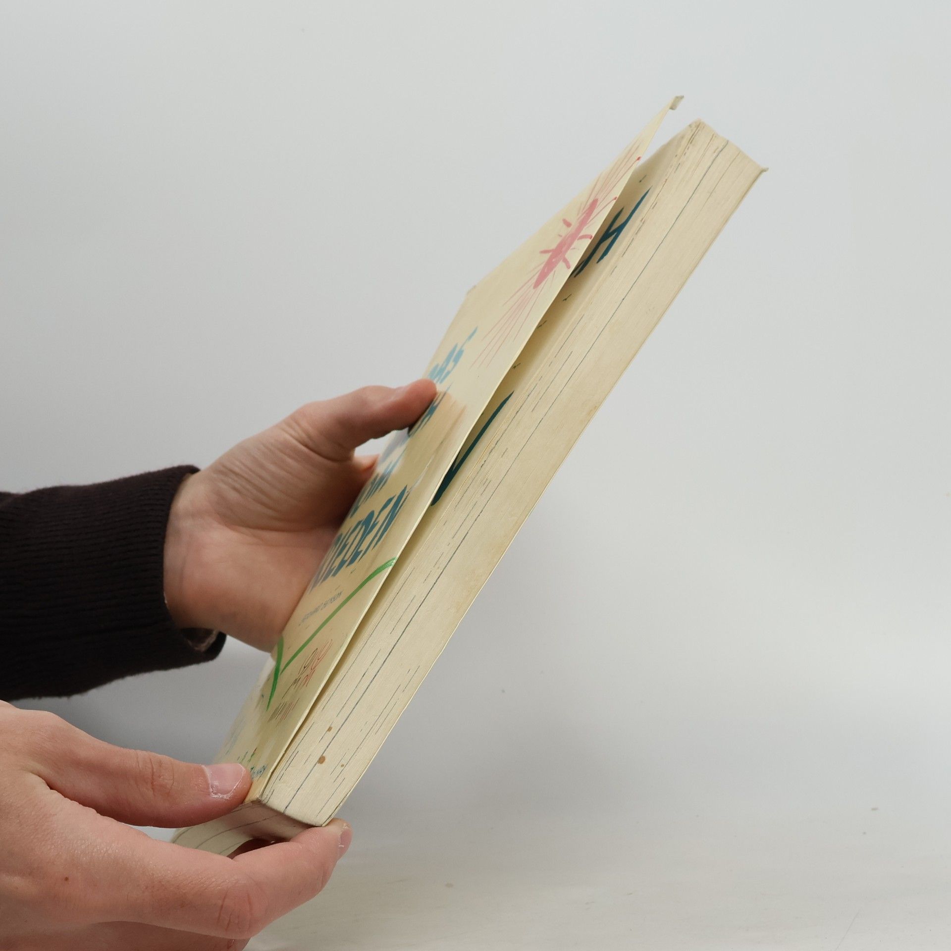 Bernard Benson Das Buch vom Frieden
