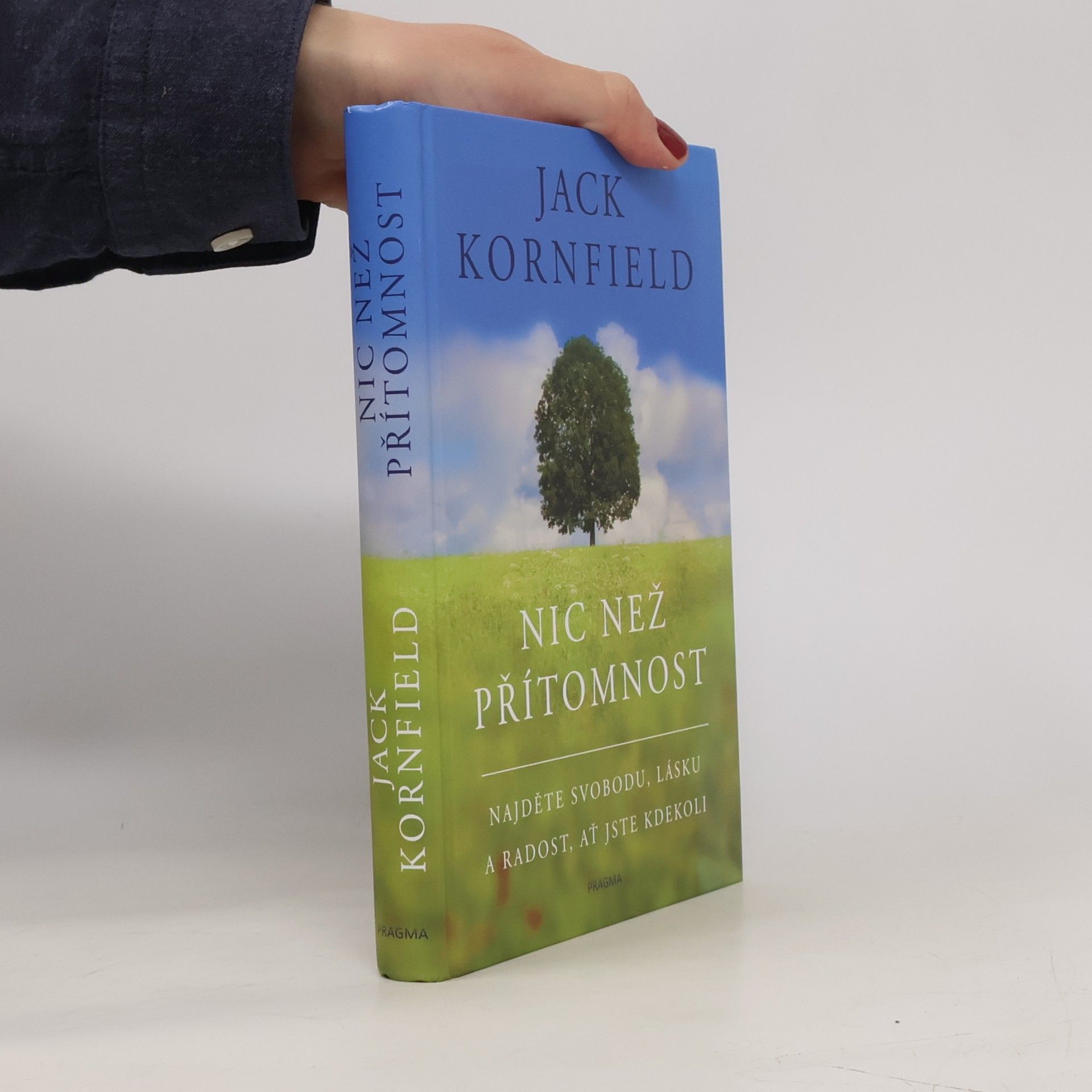 Jack Kornfield Nic než přítomnost