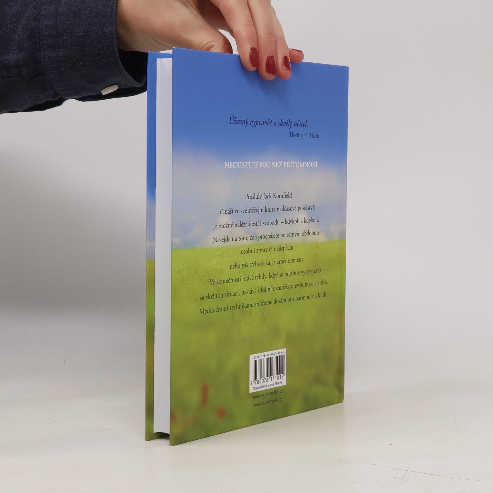 Jack Kornfield Nic než přítomnost