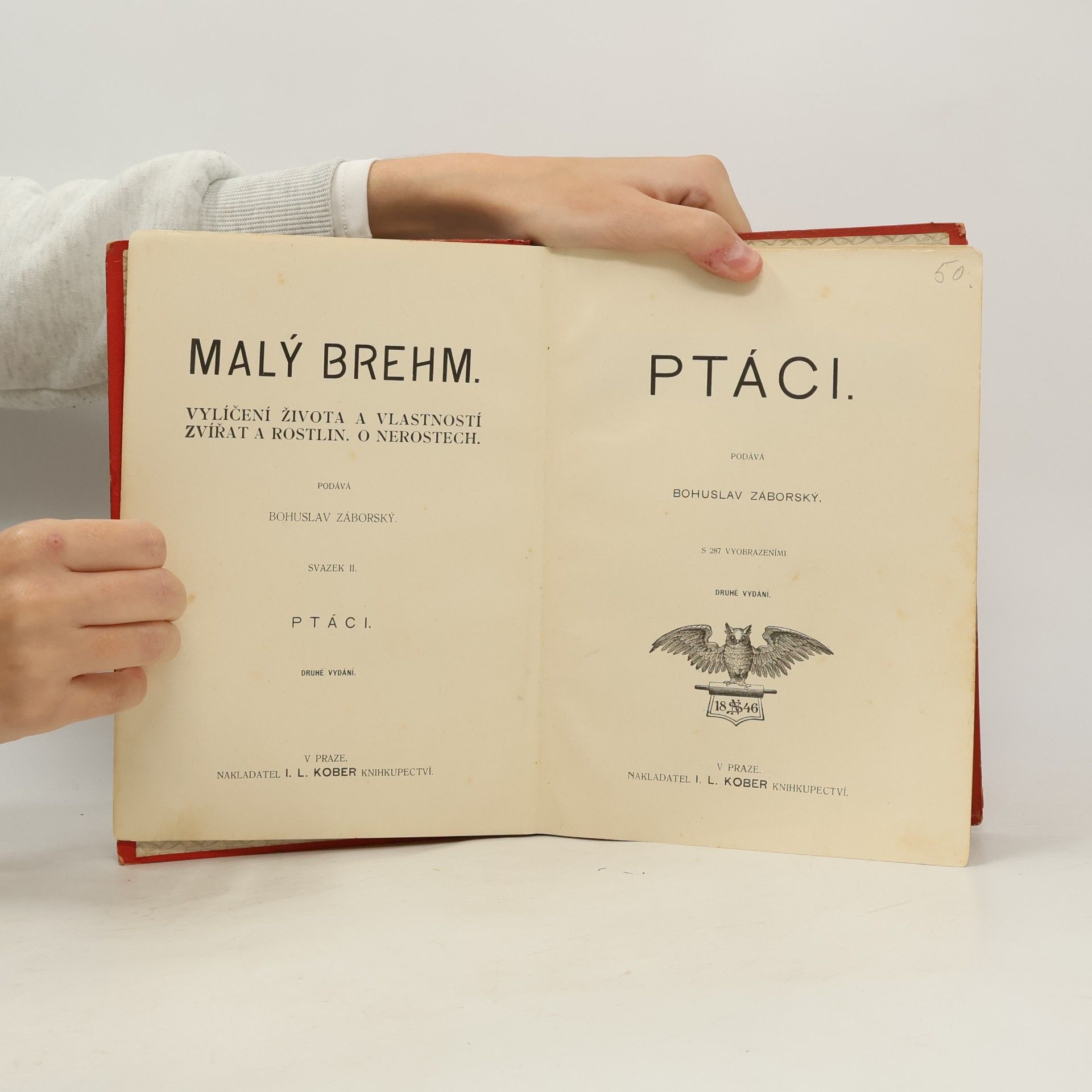 Bohuslav Záborský Malý Brehm II. Ptáci