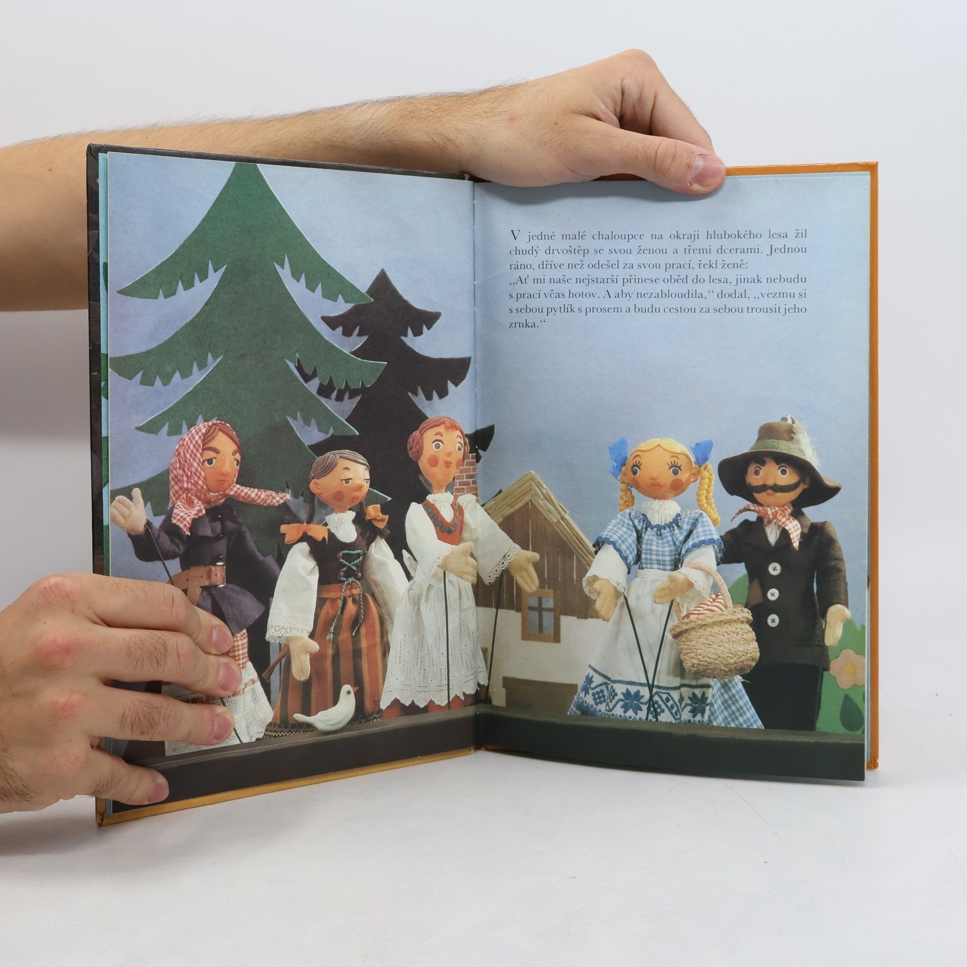 Jacob Grimm Pohádka o lesní chaloupce