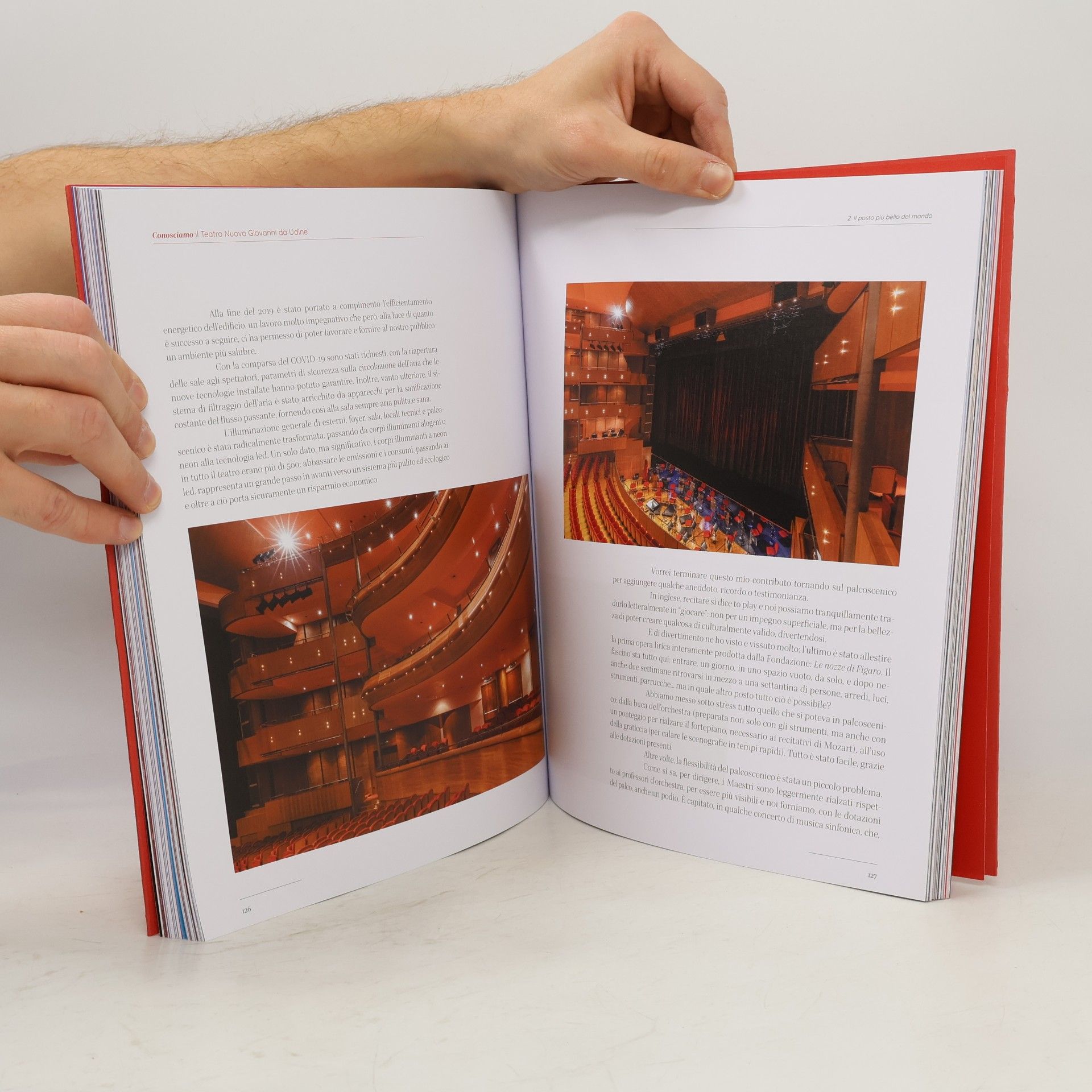 Paolo Patui Il teatro e la sua città. Per i 25 anni del Teatro Nuovo Giovanni da Udine