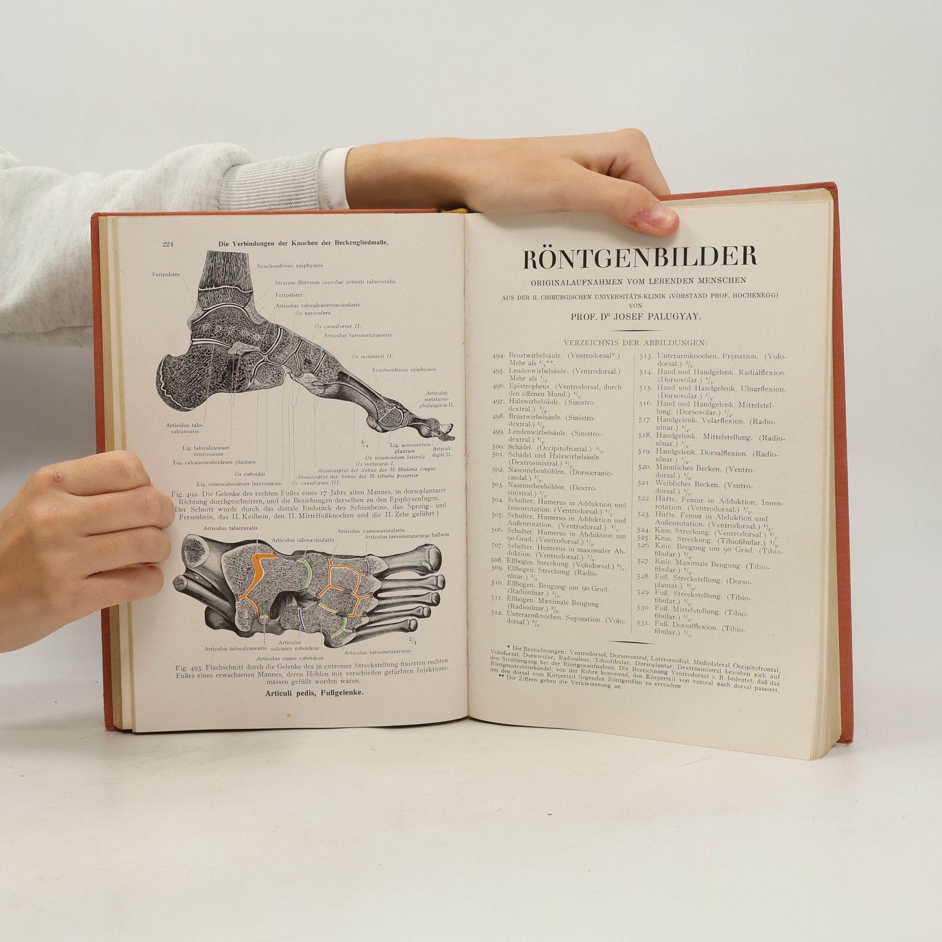 Ferdinand Hochstetter Anatomischer Atlas I