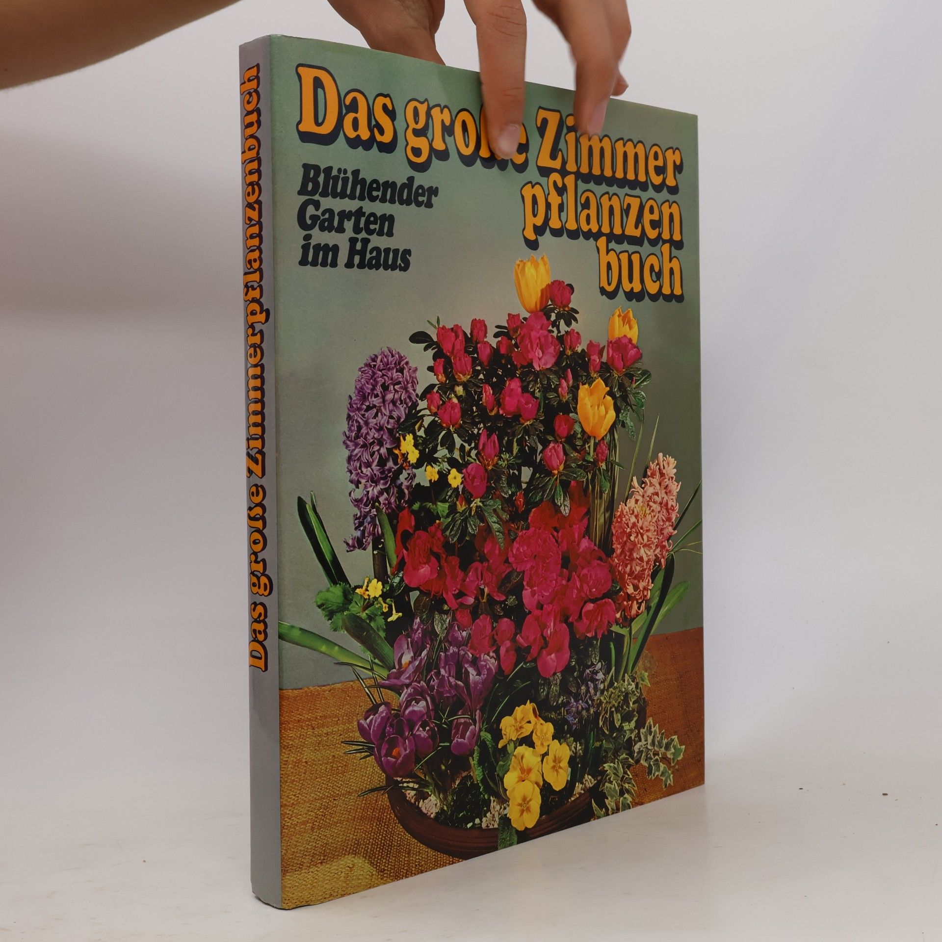 kolektiv Das große Zimmerpflanzenbuch