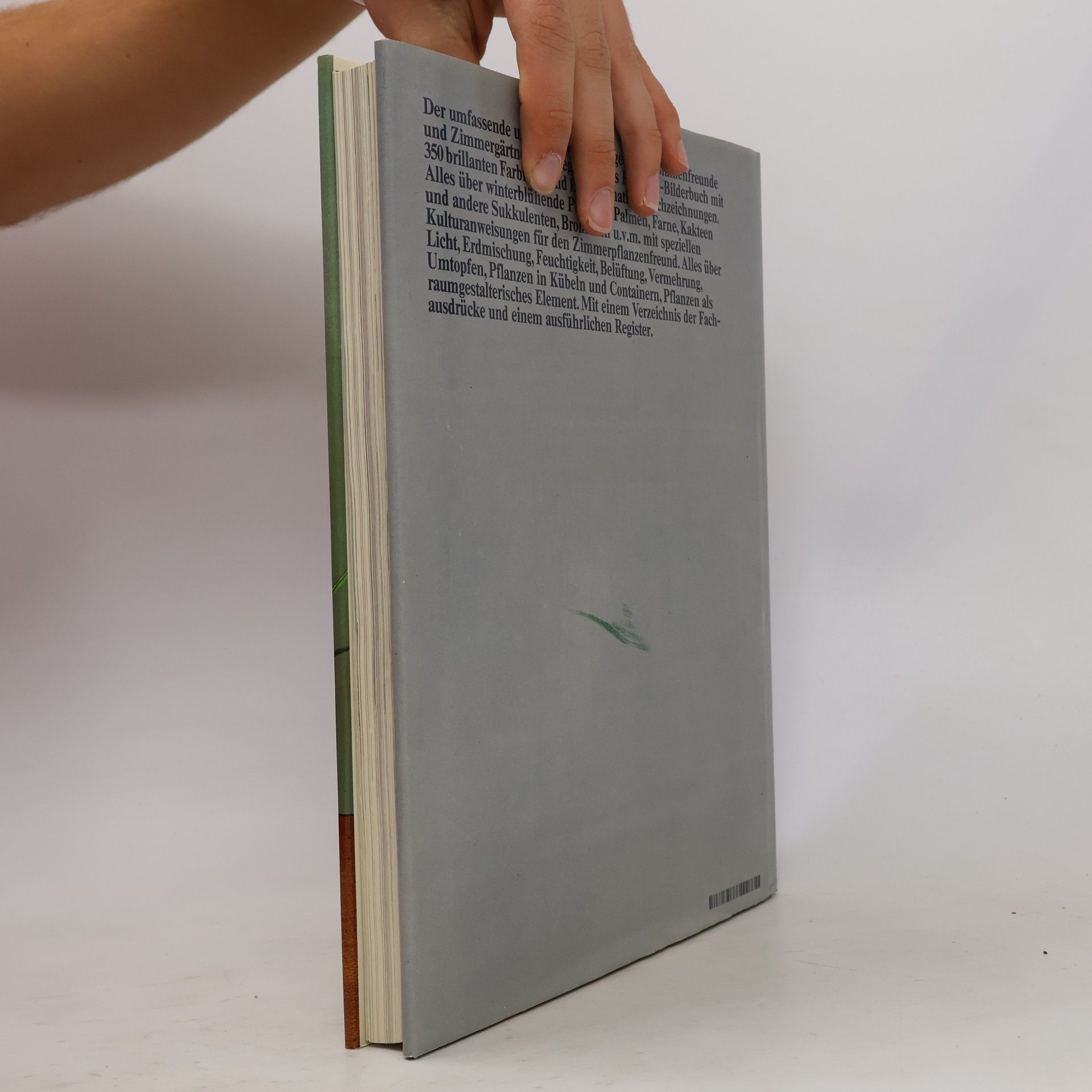 kolektiv Das große Zimmerpflanzenbuch