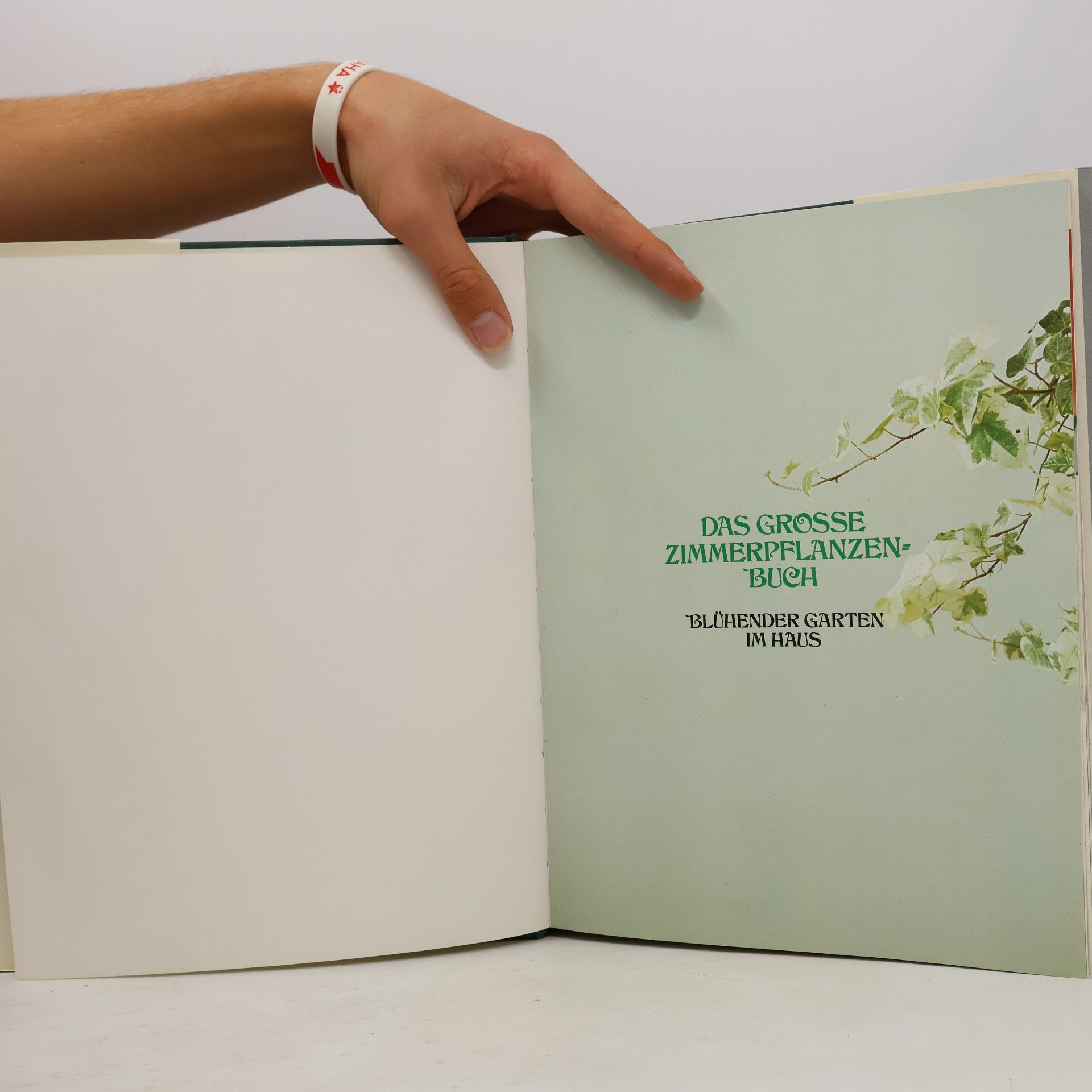 kolektiv Das große Zimmerpflanzenbuch