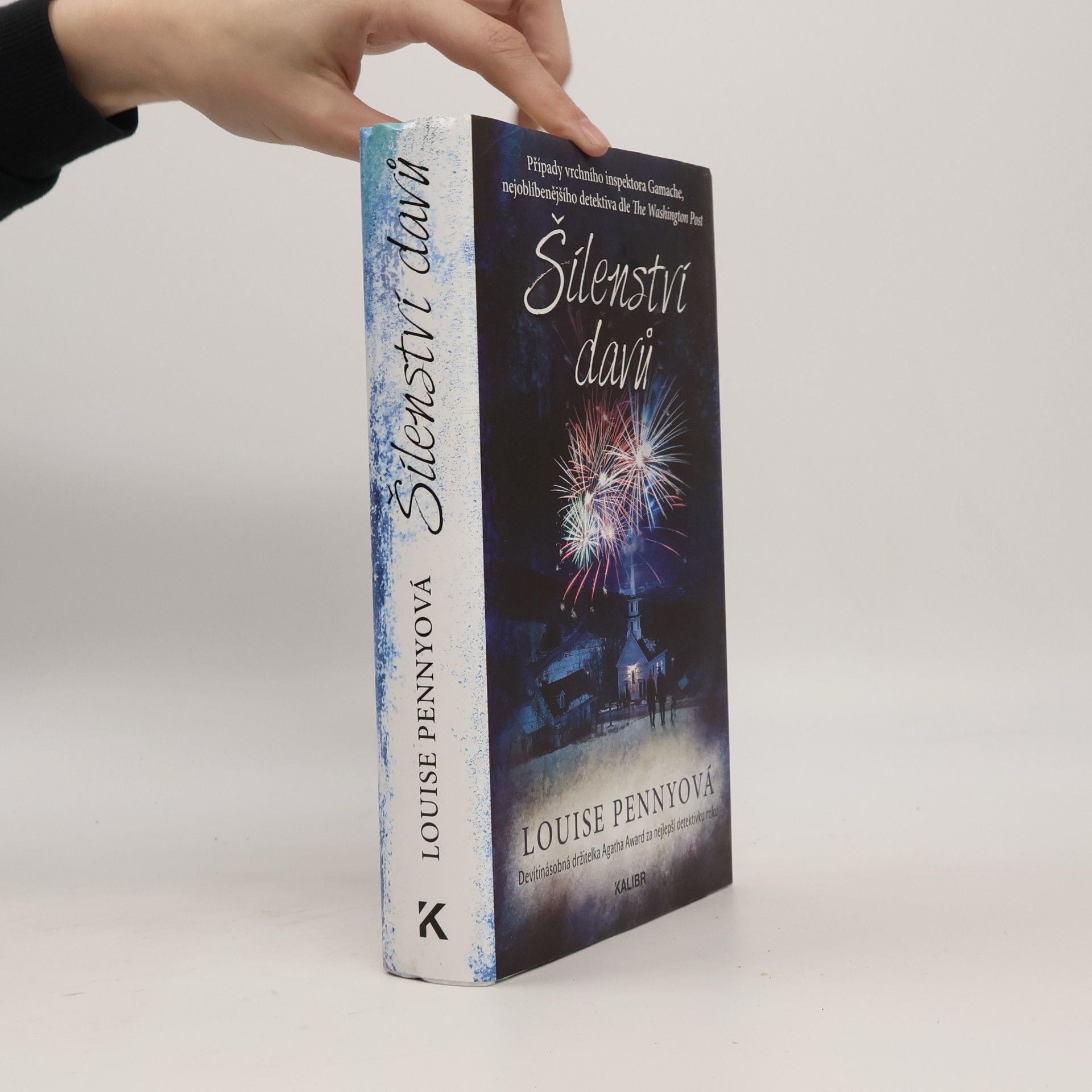 Louise Penny Šílenství davů