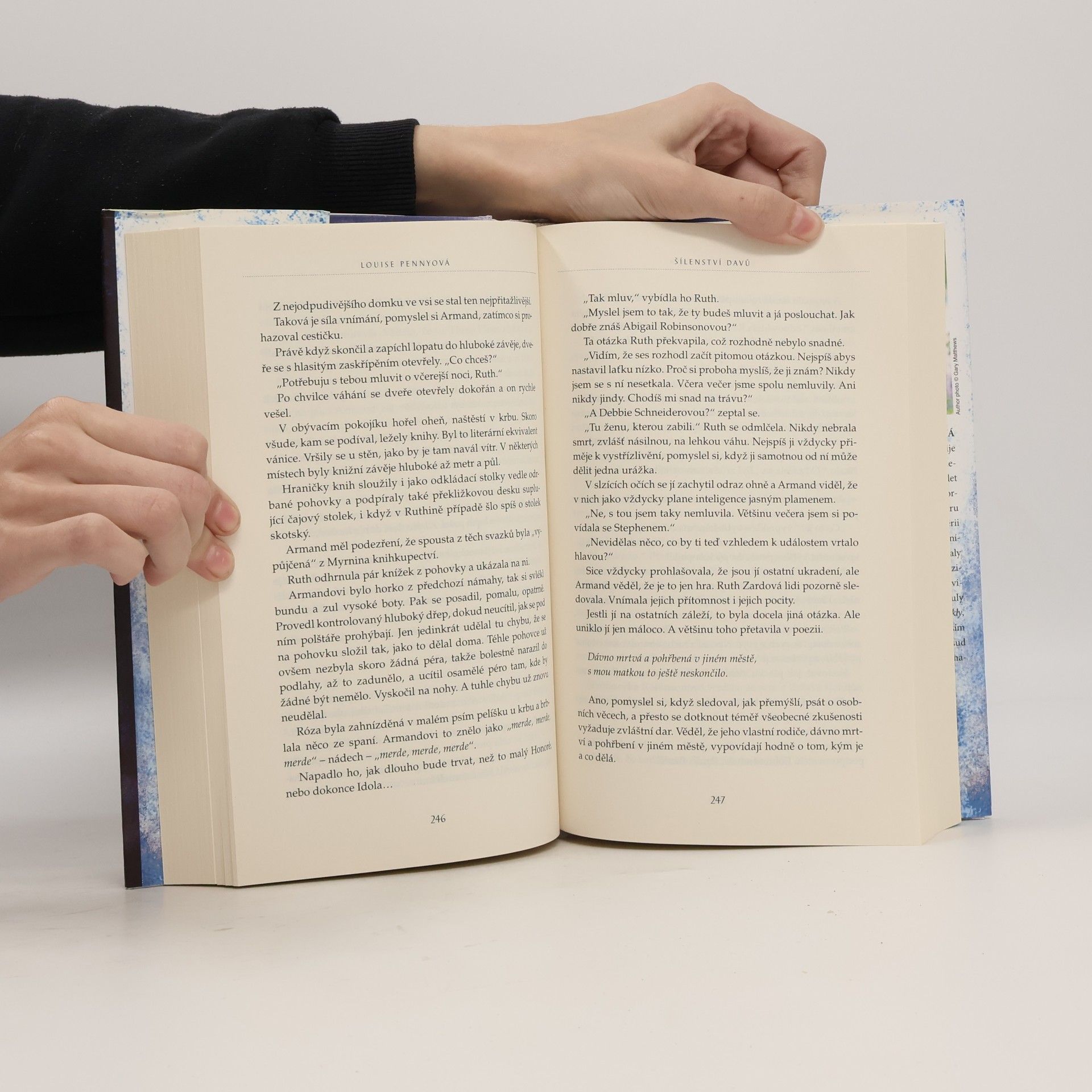 Louise Penny Šílenství davů