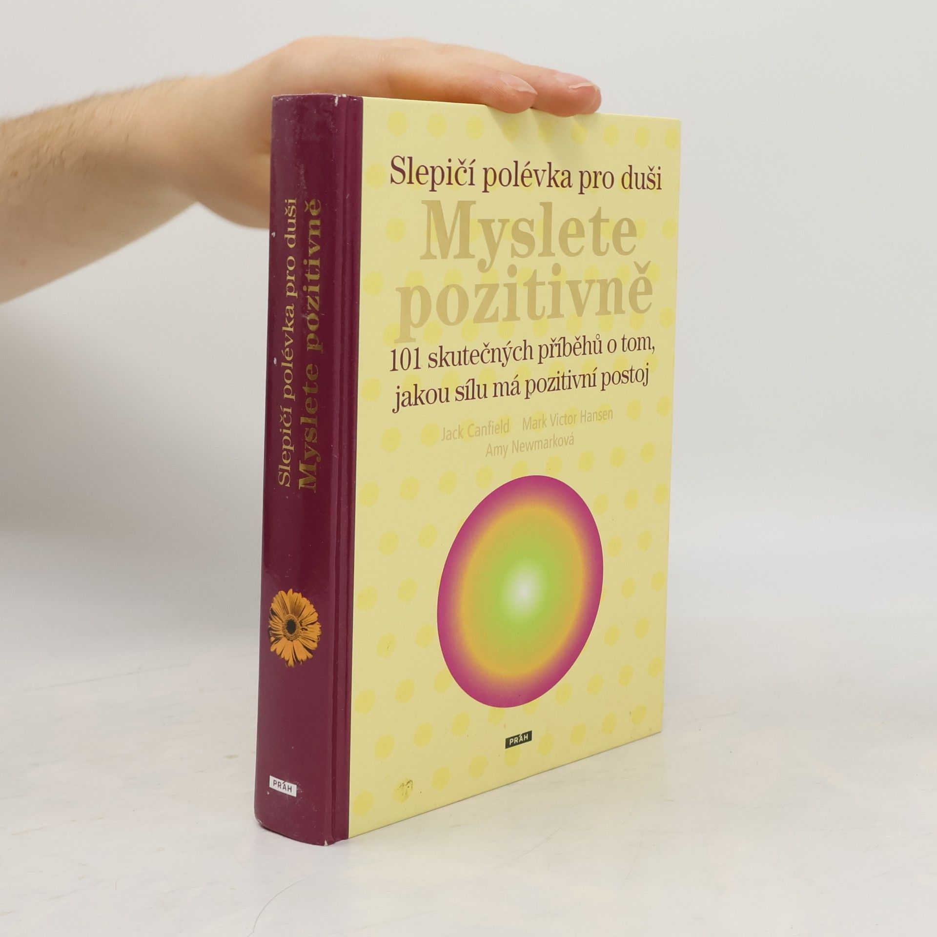 Amy Newmark Slepičí polévka pro duši: Myslete pozitivně