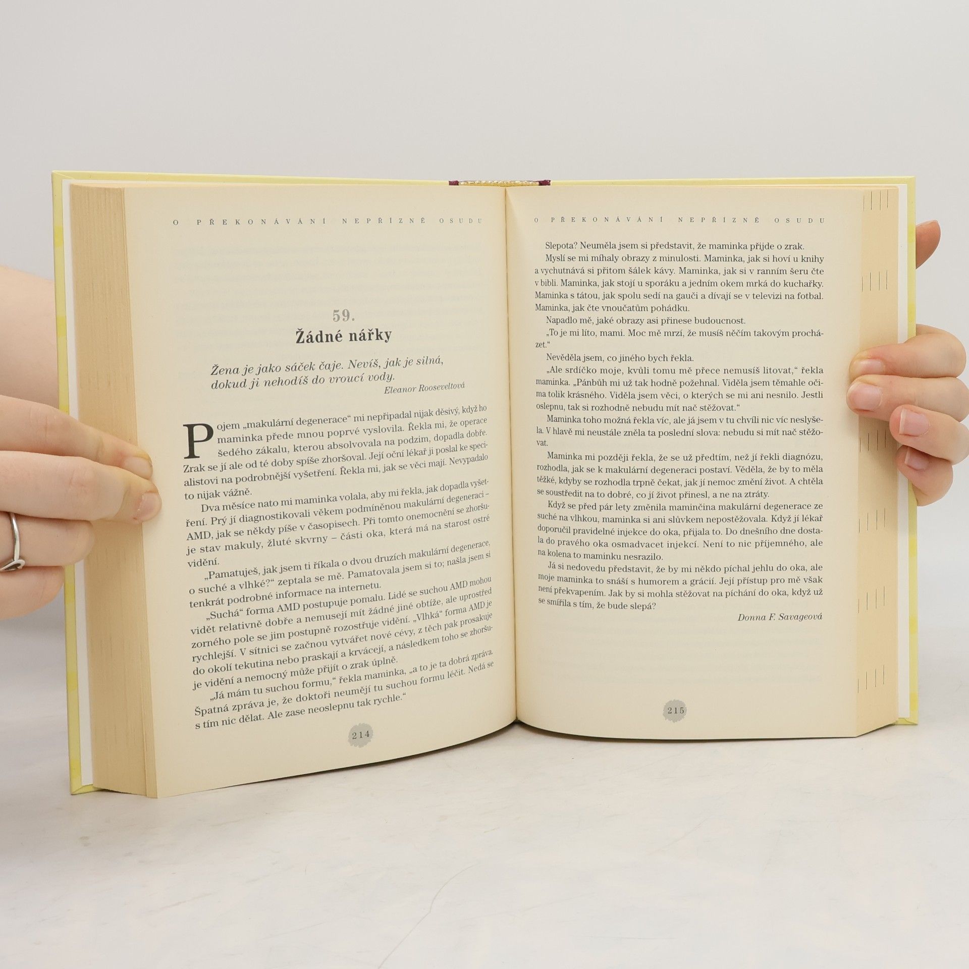 Jack Canfield Slepičí polévka pro duši: Myslete pozitivně