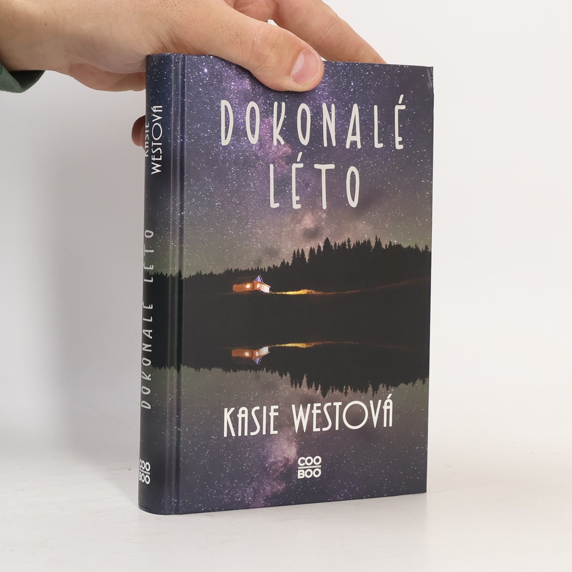 Kasie West Dokonalé léto