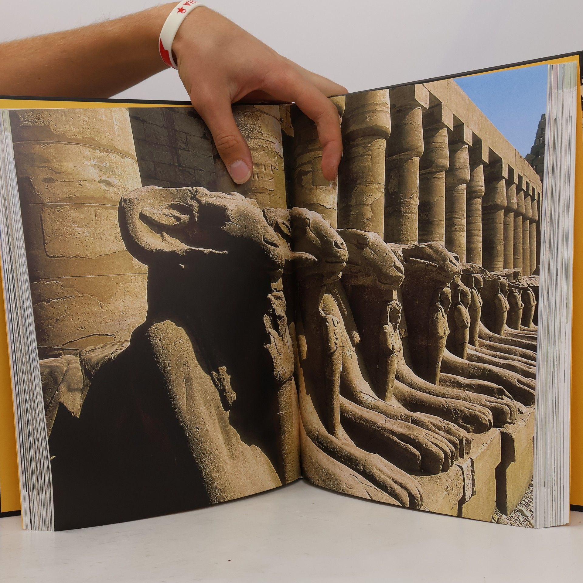 Matthias Vogt Das alte Ägypten