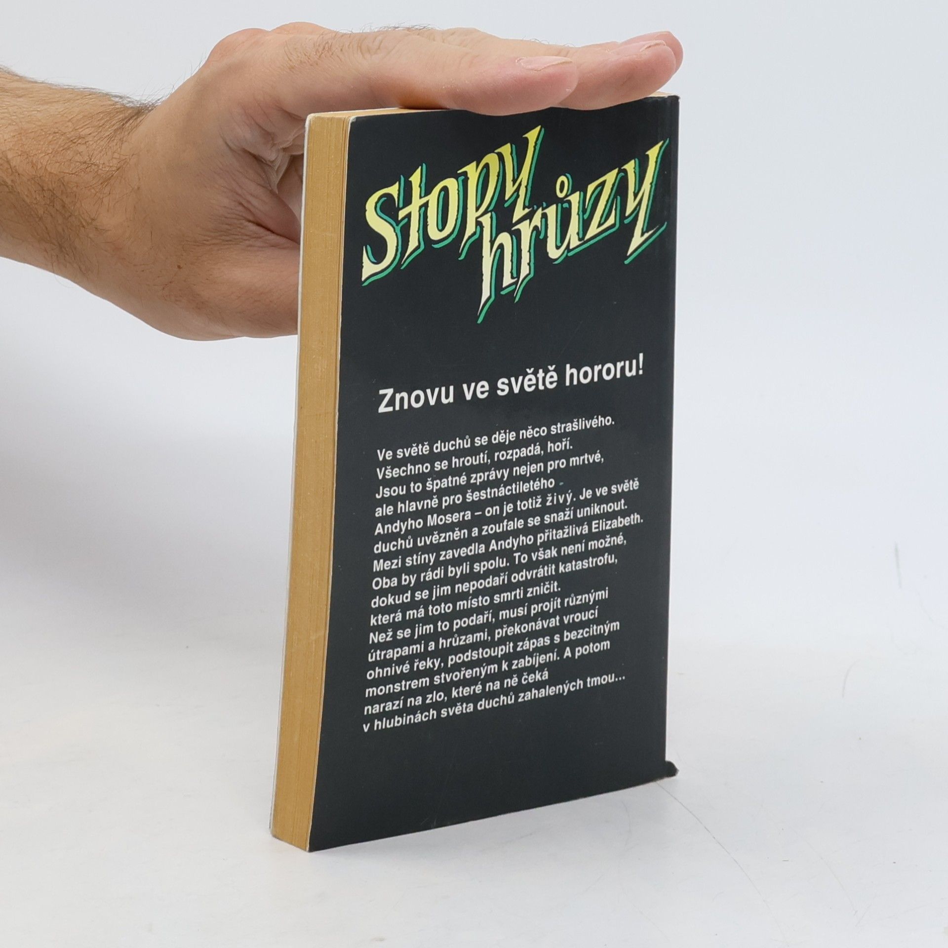 Barbara Siegel Stopy hrůzy 9. Temný oheň