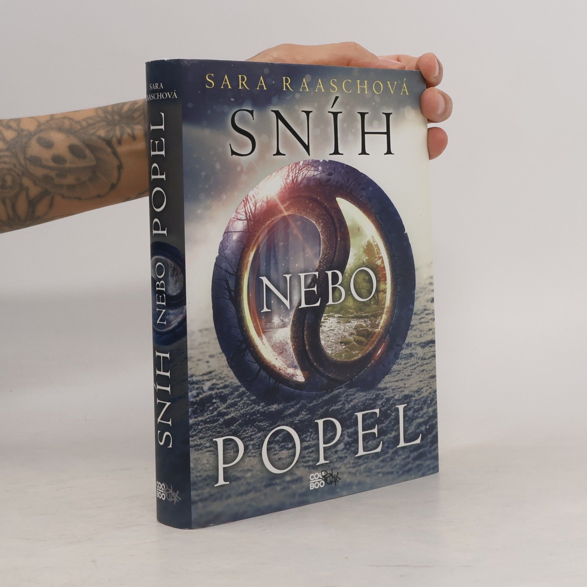 Sara Raasch Sníh nebo popel