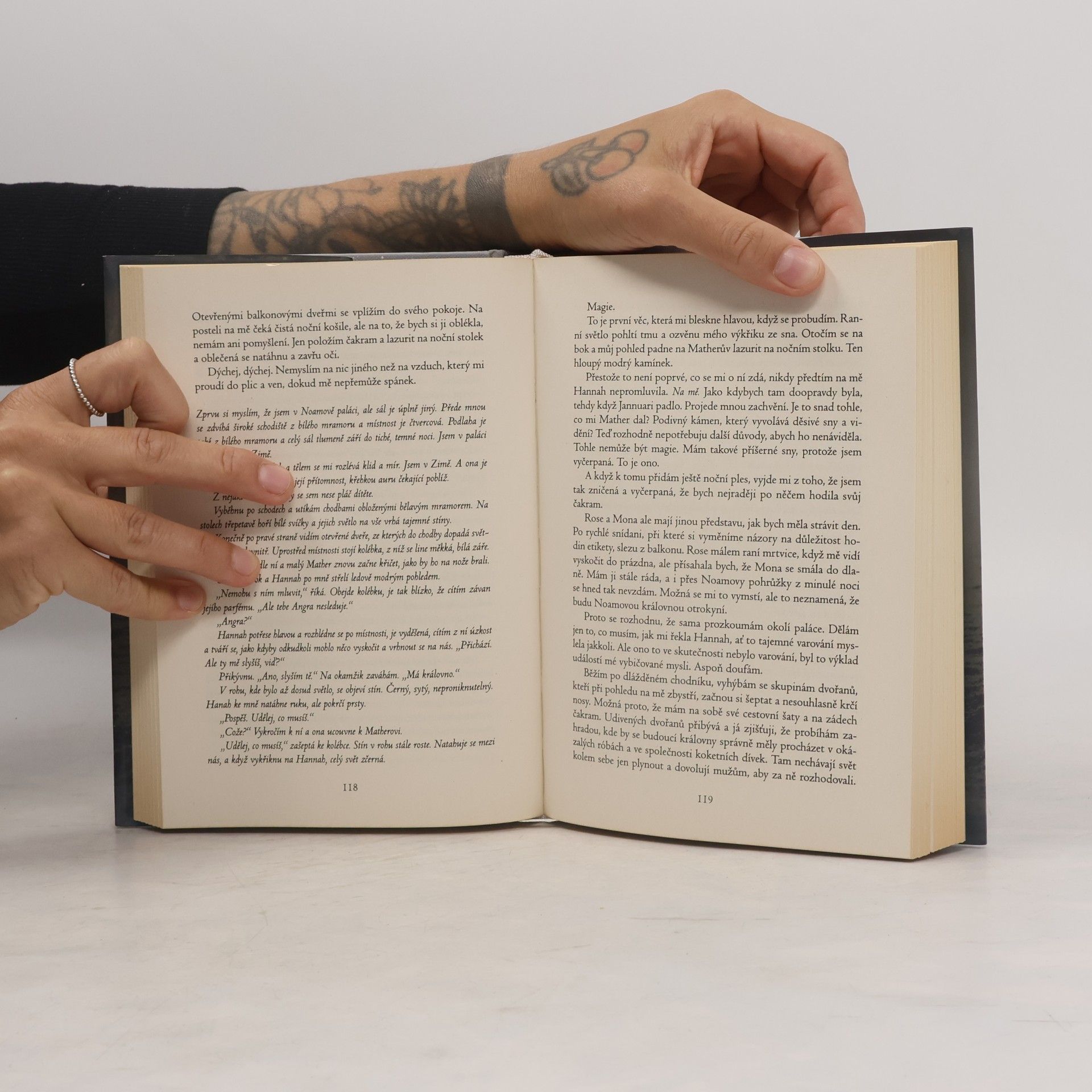 Sara Raasch Sníh nebo popel