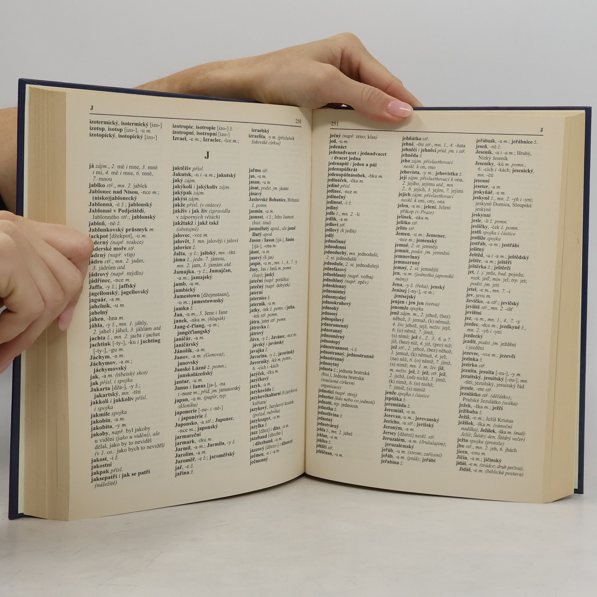 Autorenkollektiv Pravidla českého pravopisu s výkladem mluvnice