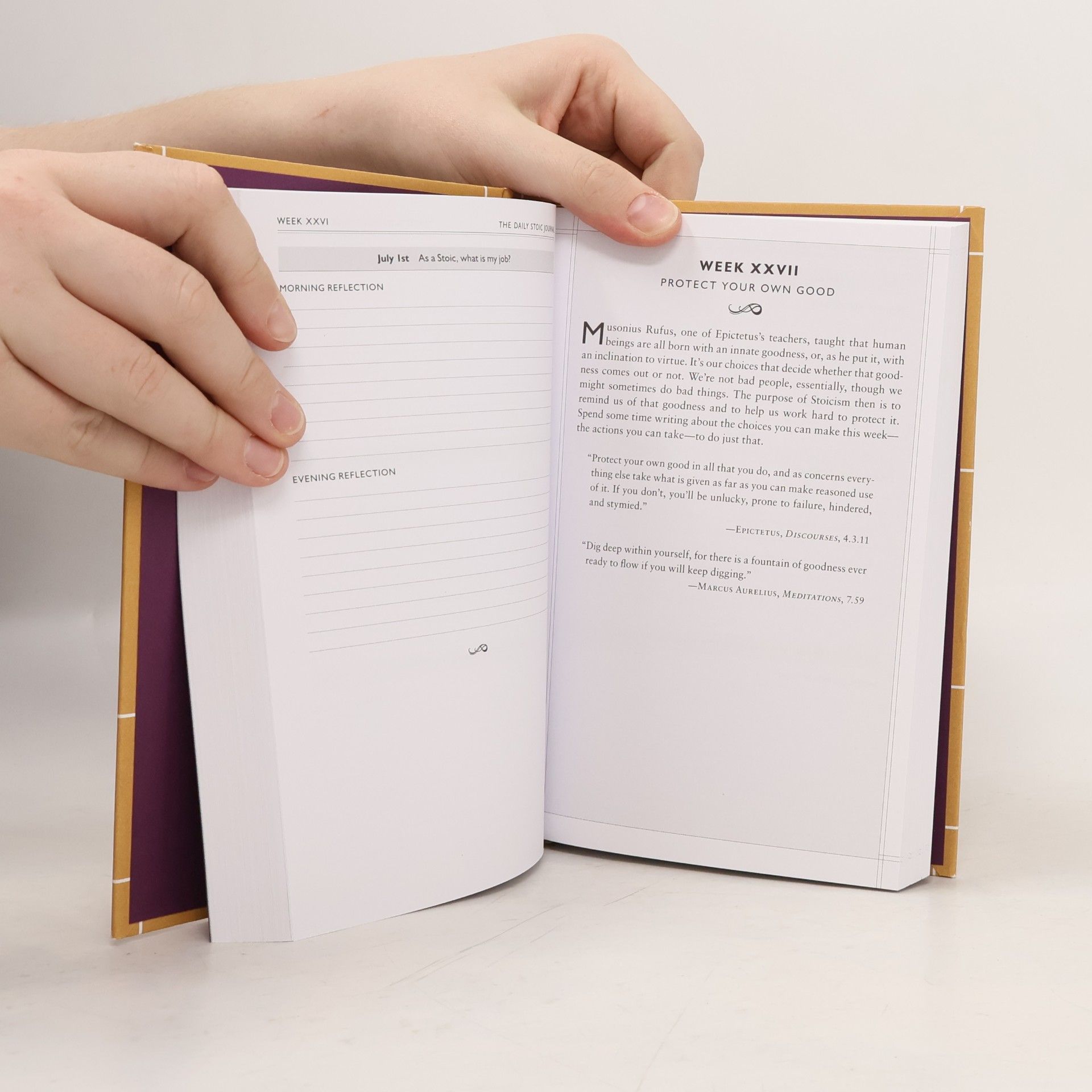 Ryan Holiday The Daily Stoic Journal
