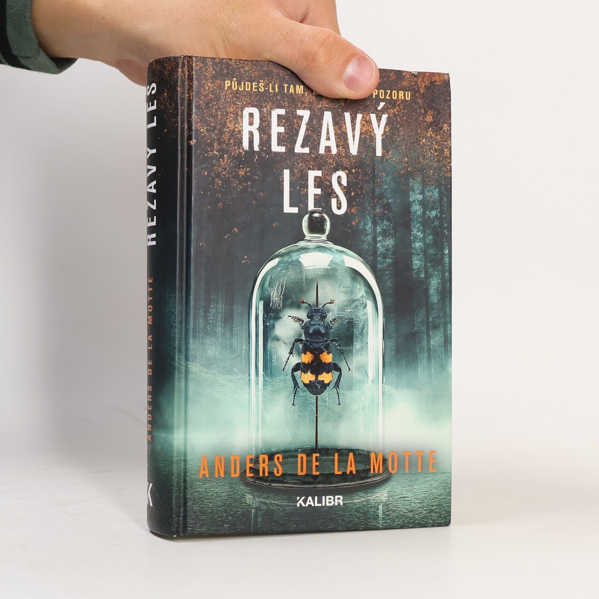 Rezavý les
