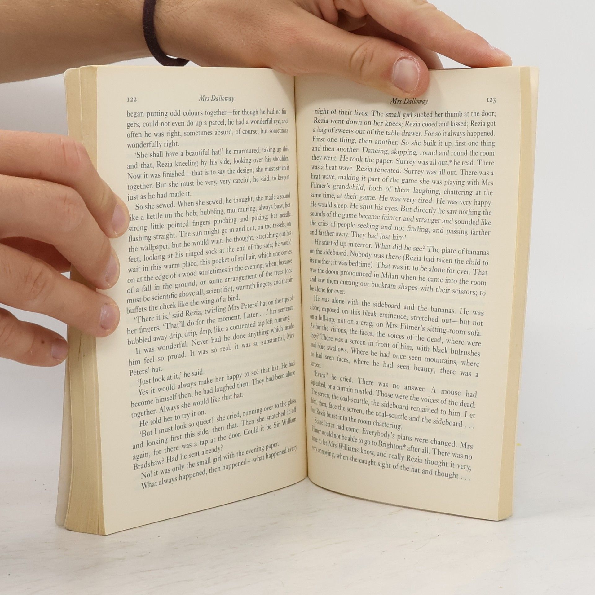 Virginia Woolf Mrs Dalloway