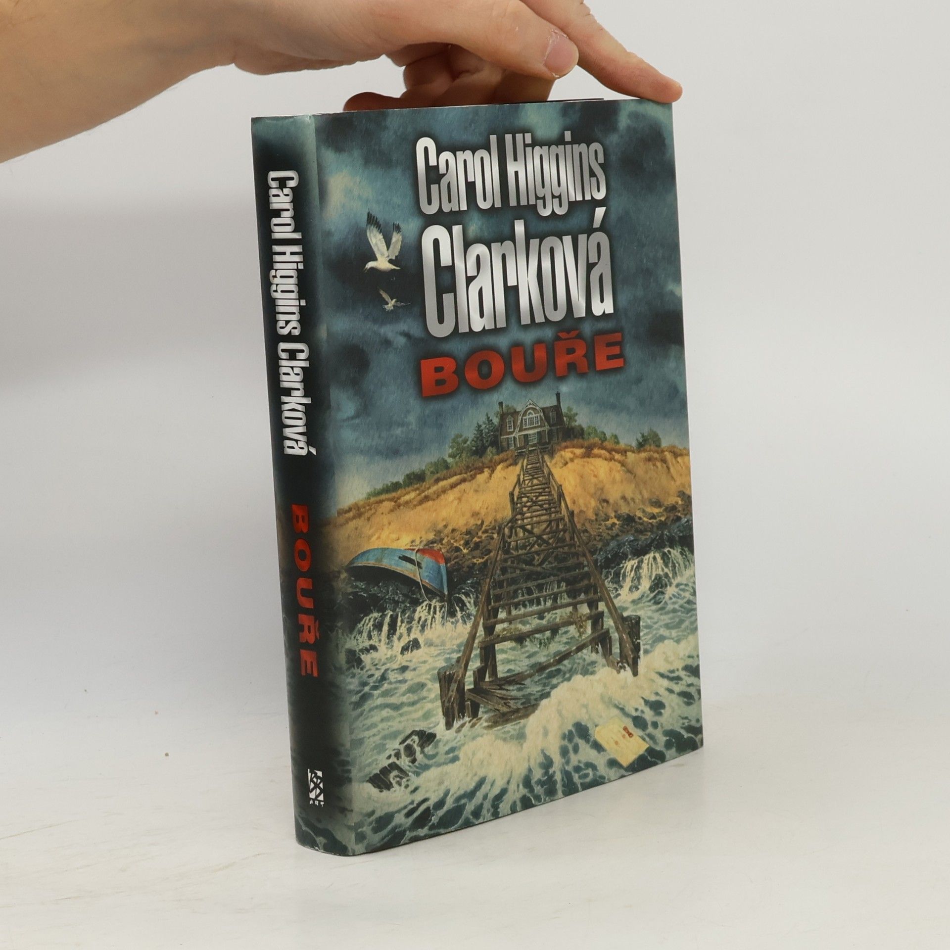 Carol Higgins Clark Bouře